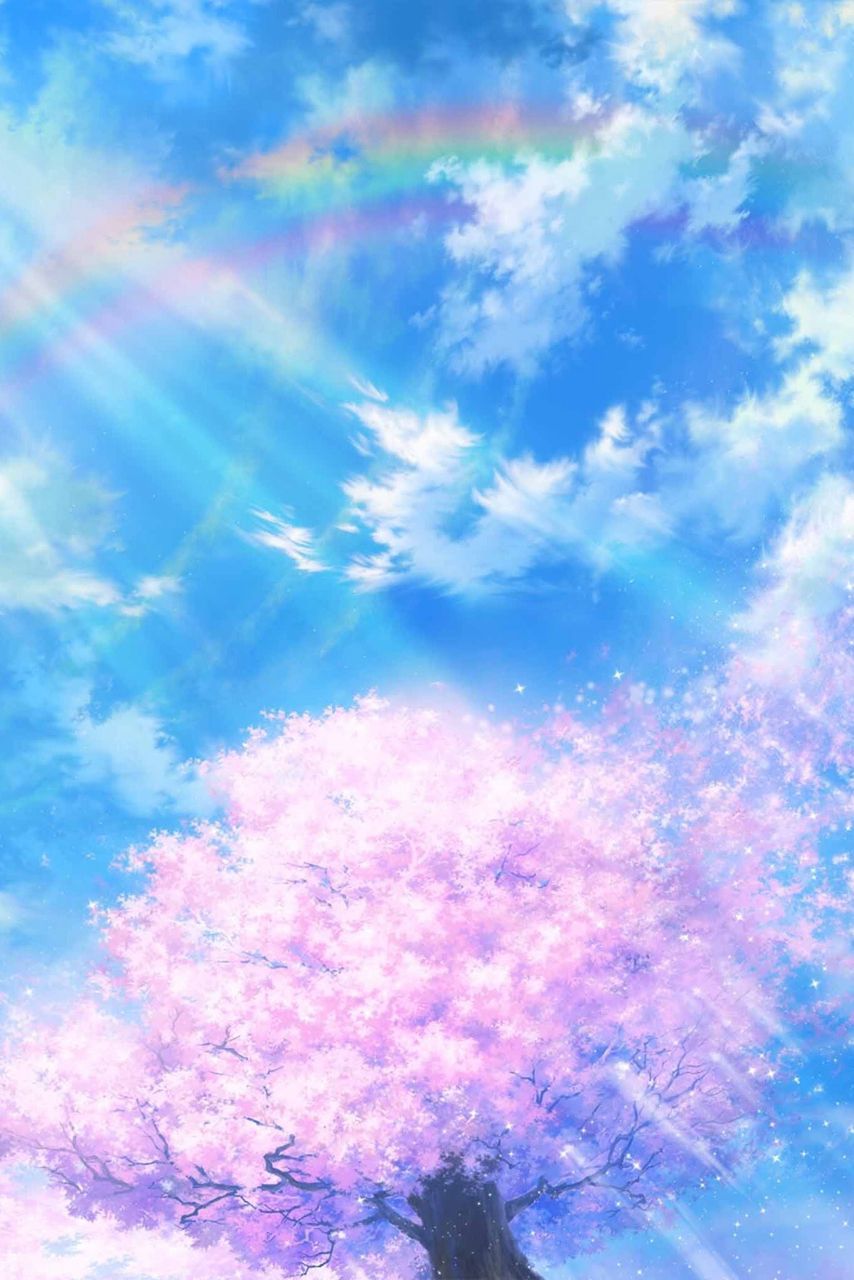 Ciliegio in fiore, cielo azzurro, 854x1280 Full HD Verticale, Realme