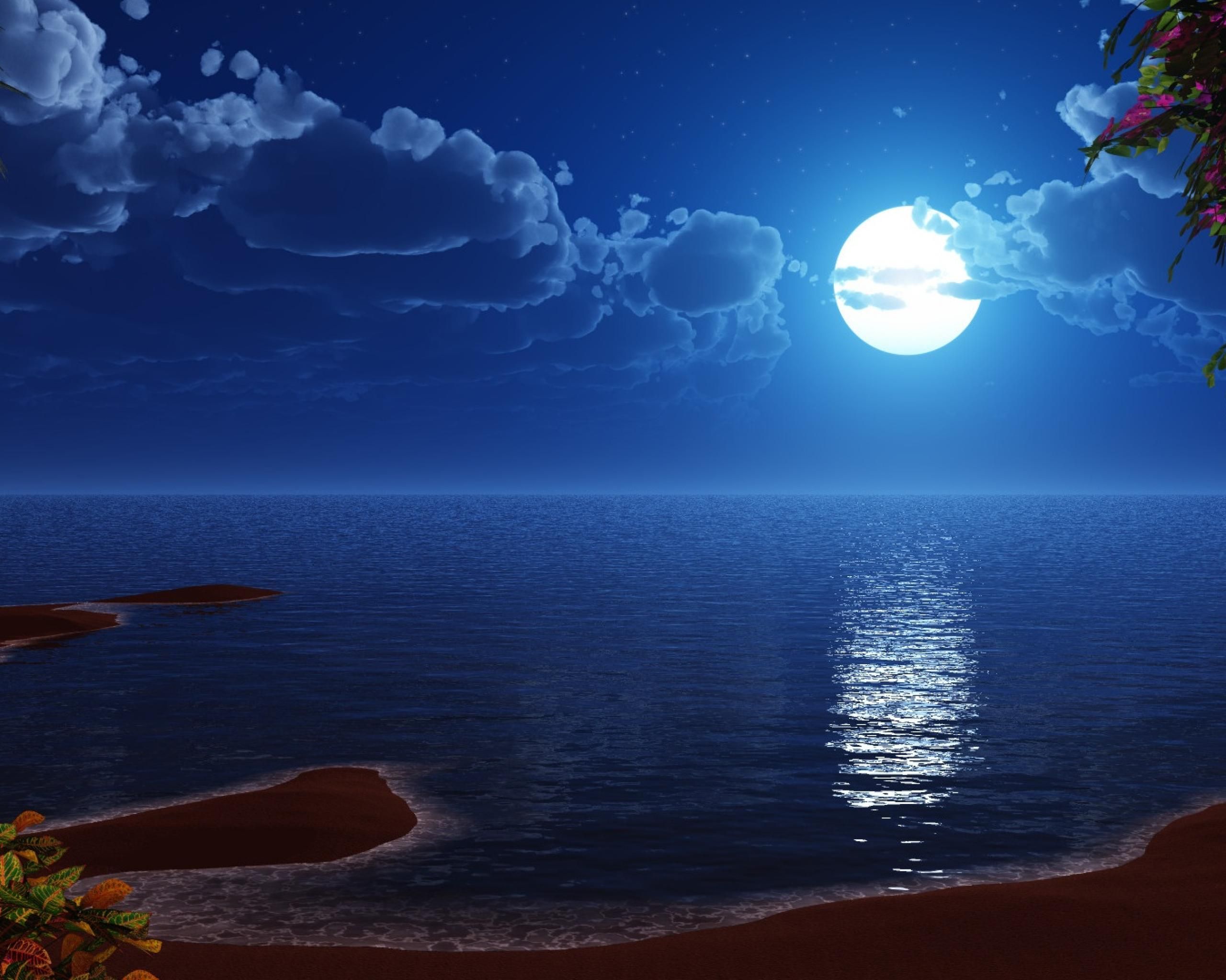 Luna piena su spiaggia notturna, 2560x2048 WQXGA, PC