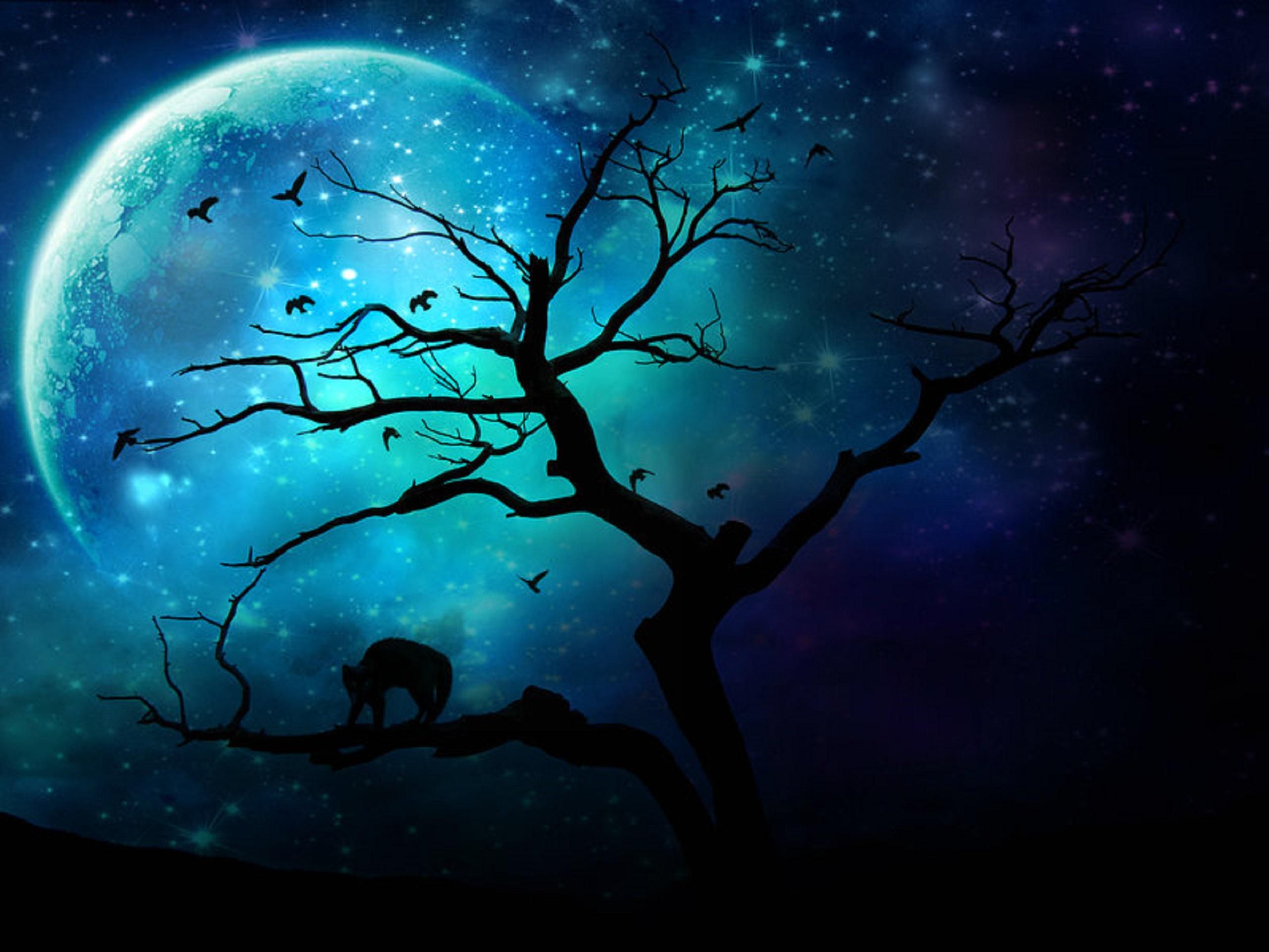 Albero silhouette con luna blu, 2560x1920 WQXGA, PC
