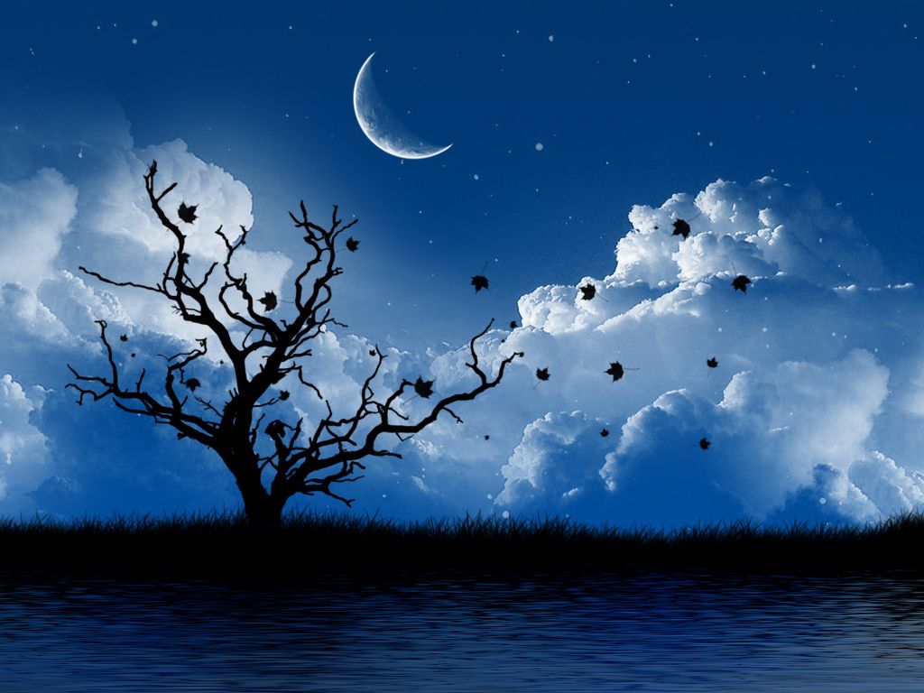 Luna crescente blu con albero, 1024x768 HD, Laptop