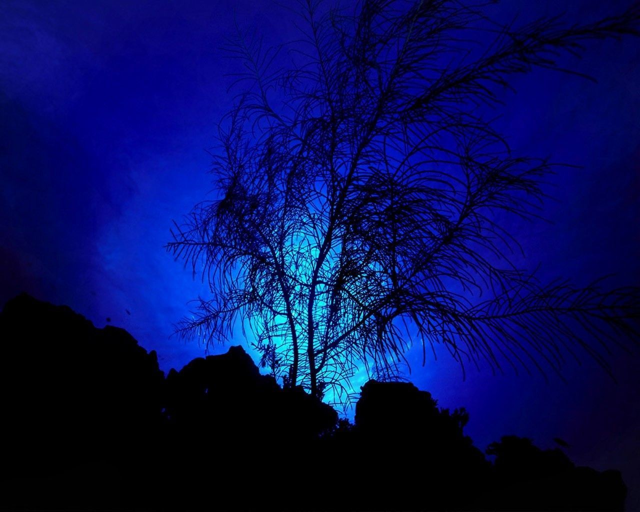 Albero silhouette luna blu, 1280x1024 720p, Laptop
