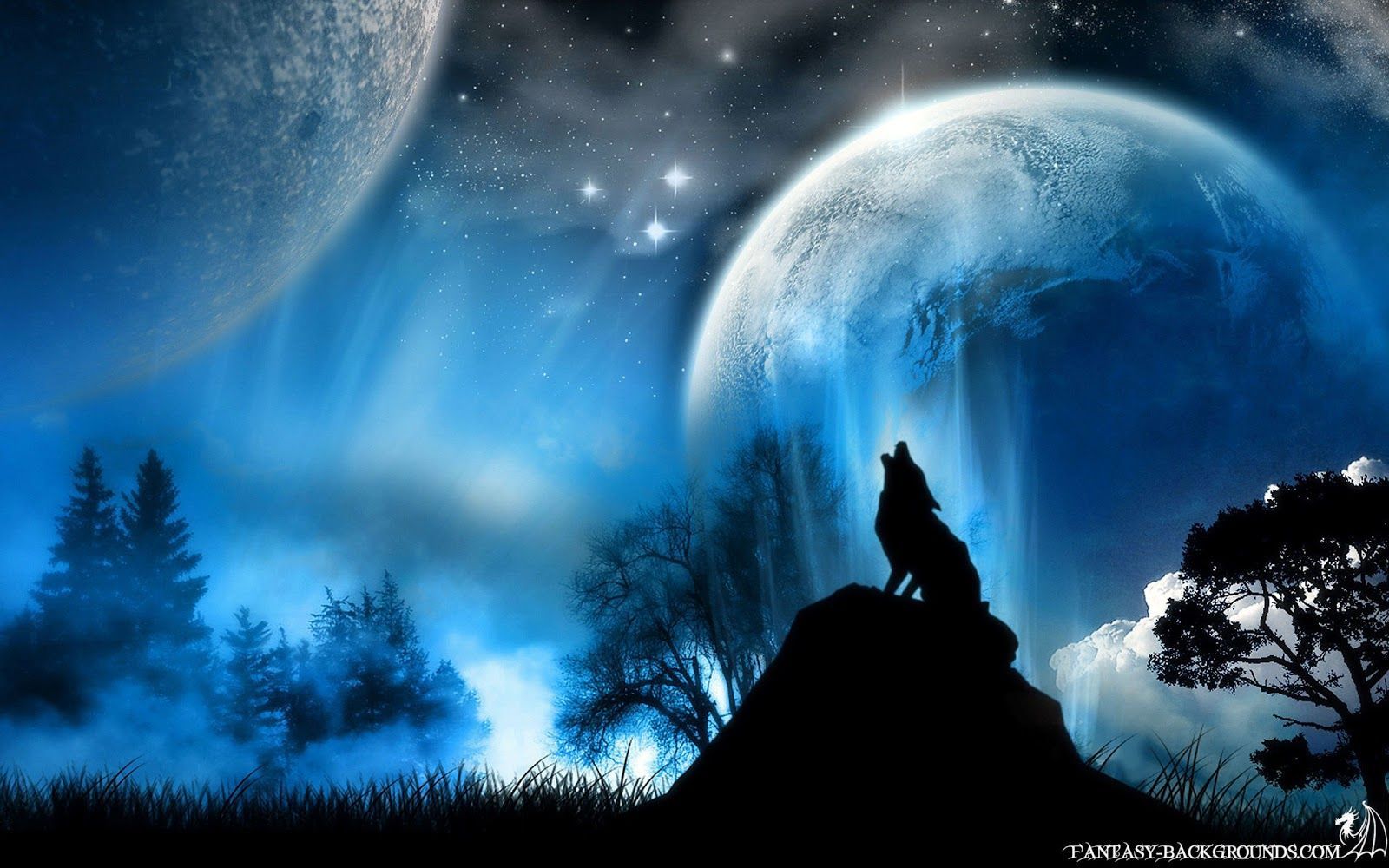 Lupo che ulula sotto luna blu, 1600x1000 900p, Laptop