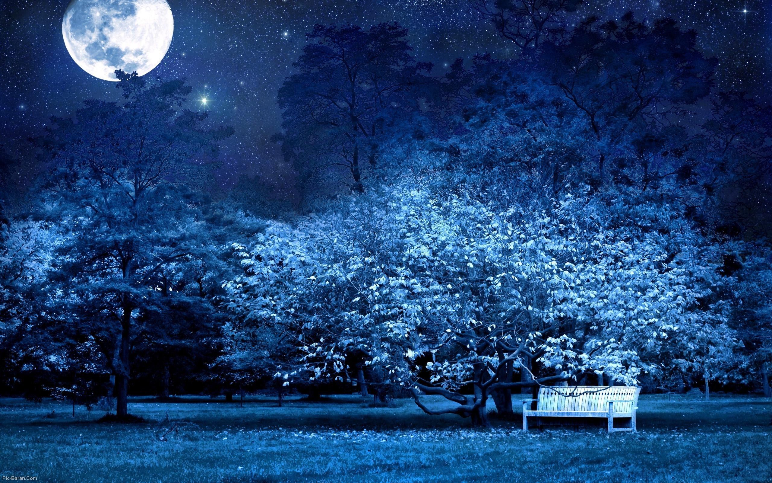 Panchina giardino notturno luna blu, 2560x1600 2K+, Desktop