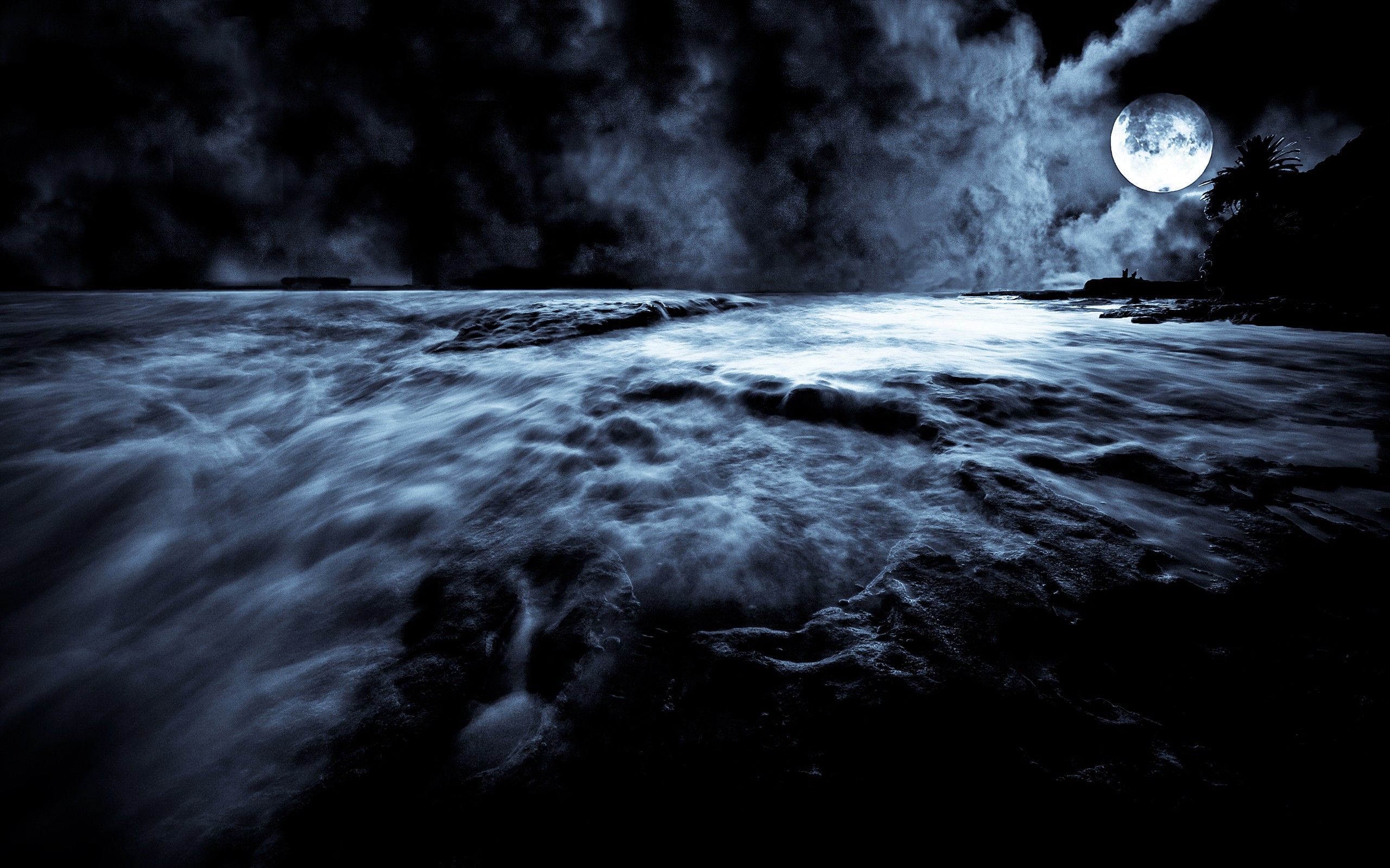 Luna piena su oceano notturno, 2560x1600 2K+, Laptop