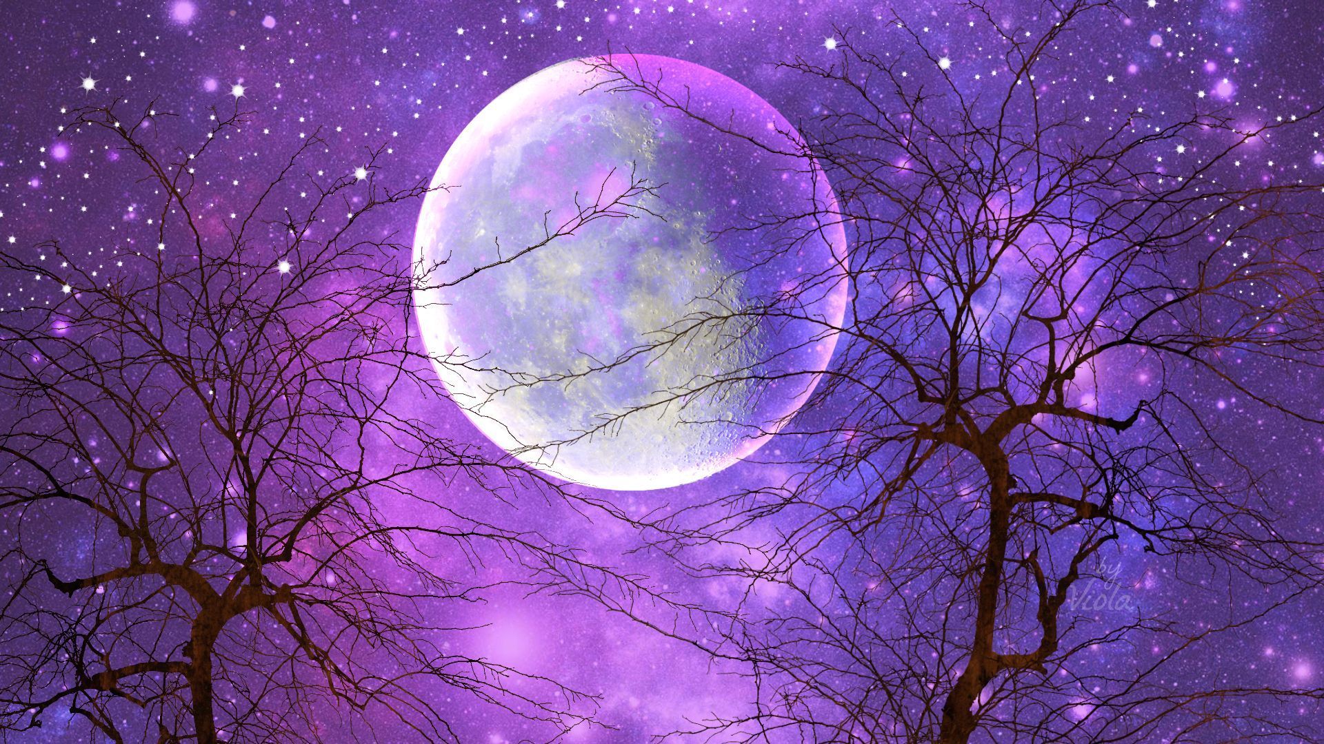 Luna viola tra rami spogli, 1920x1080 Full HD, Desktop