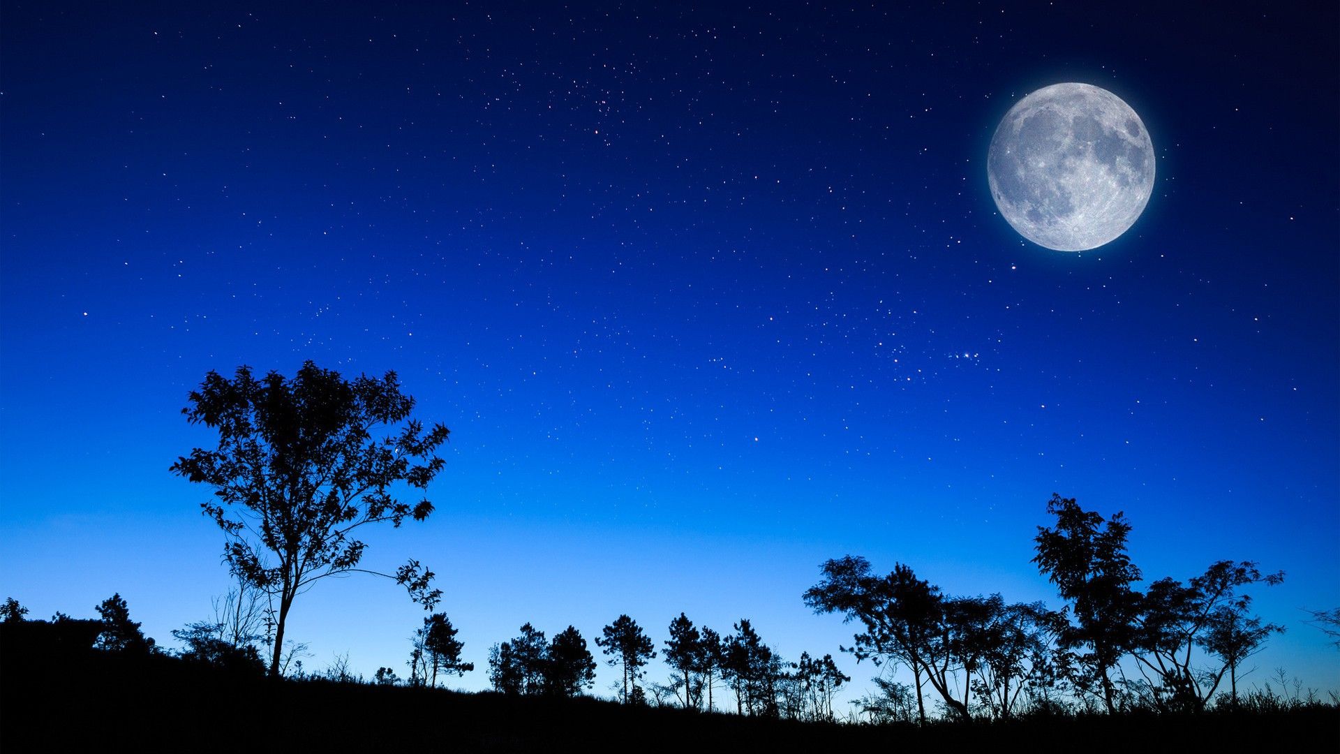 Luna piena cielo notturno blu, 1920x1080 1080p, PC Desktop