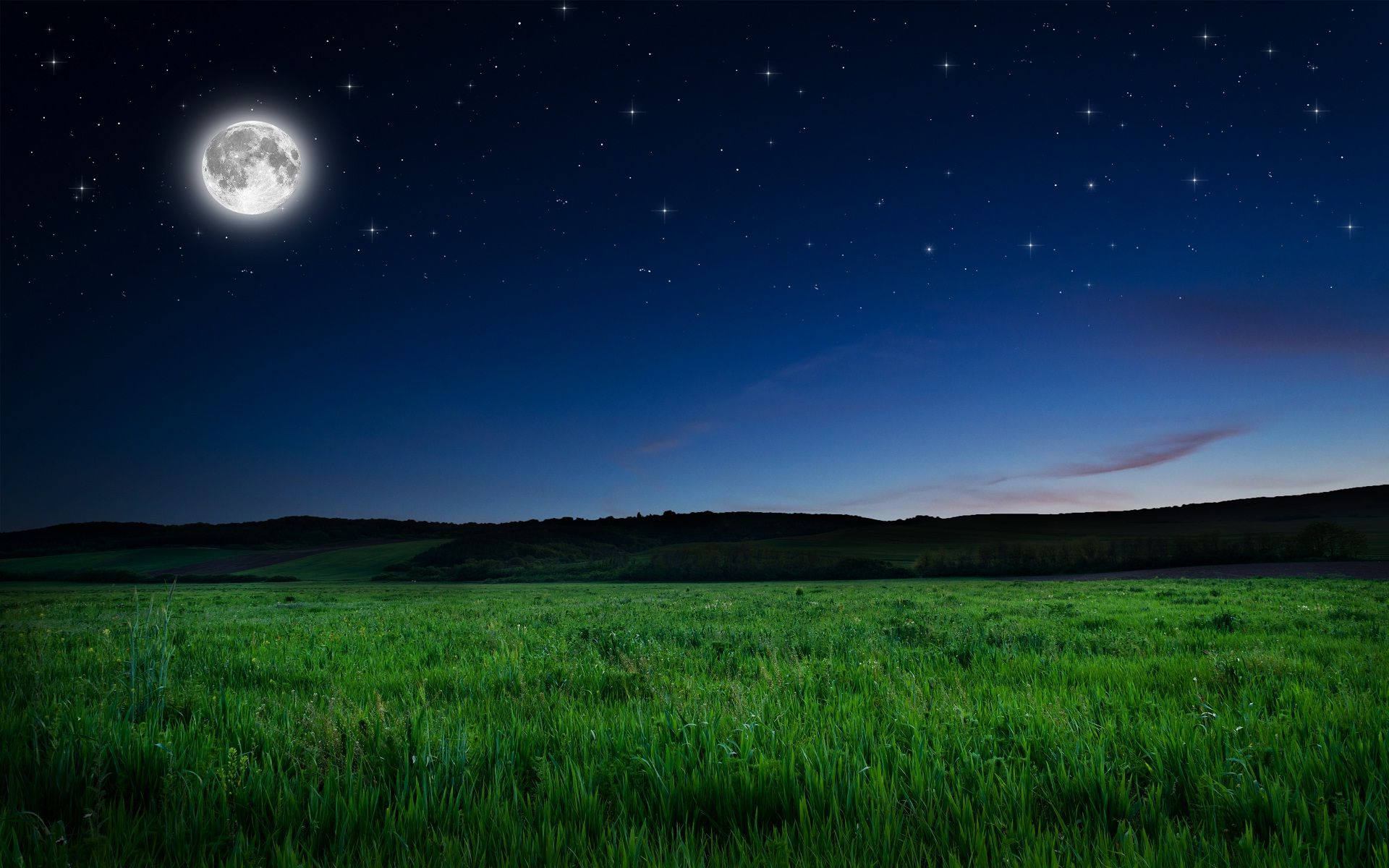 Luna piena su prato notturno, 1920x1200 Full HD+ WUXGA, PC