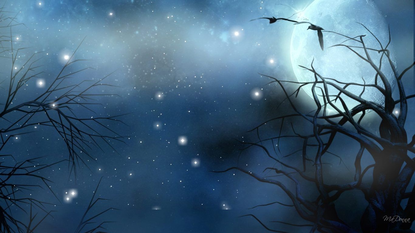 Luna blu con uccelli notturni, 1366x768 HD, Desktop