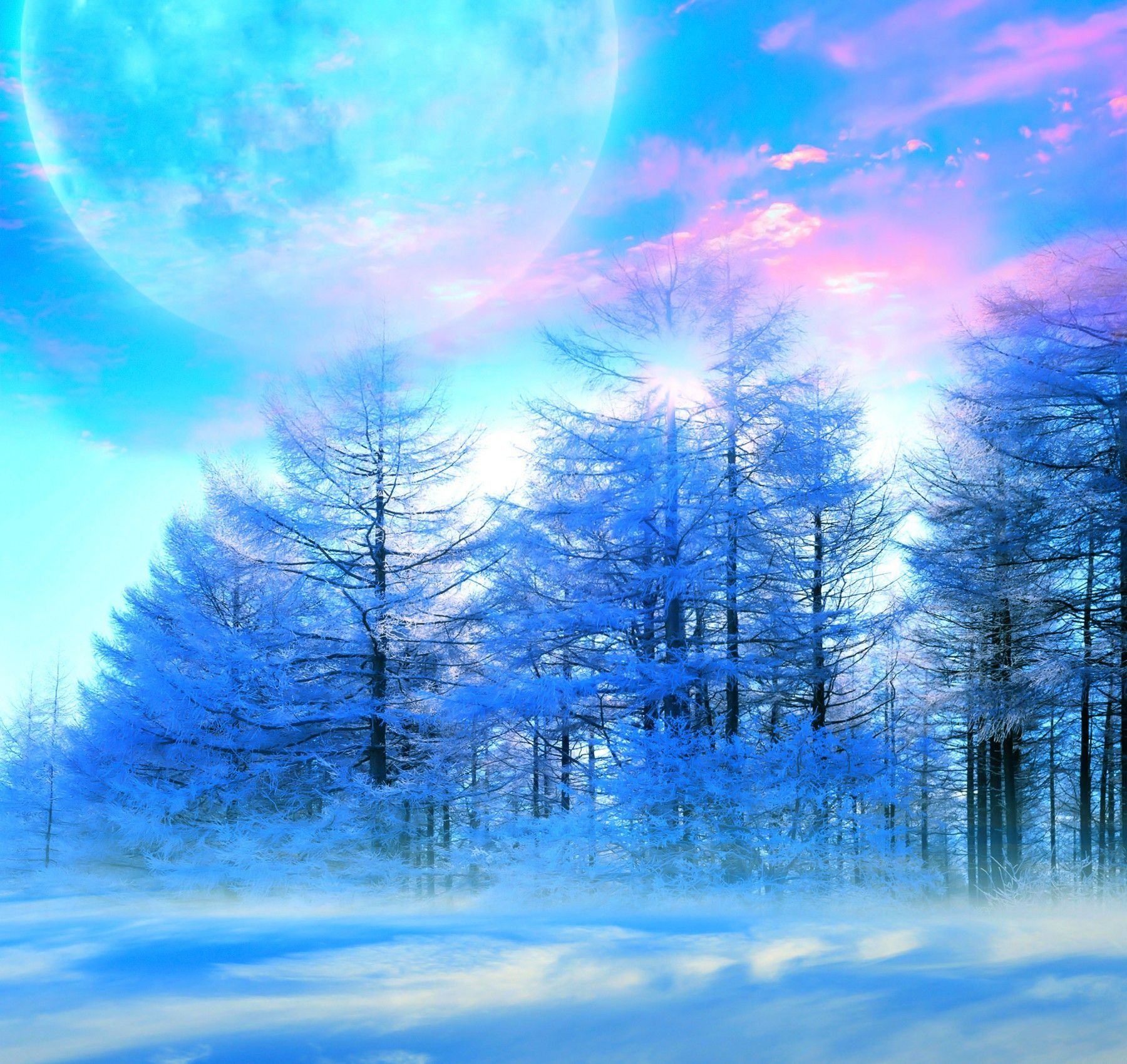 Luna gigante alberi innevati, 1800x1700 HD Ready, Laptop