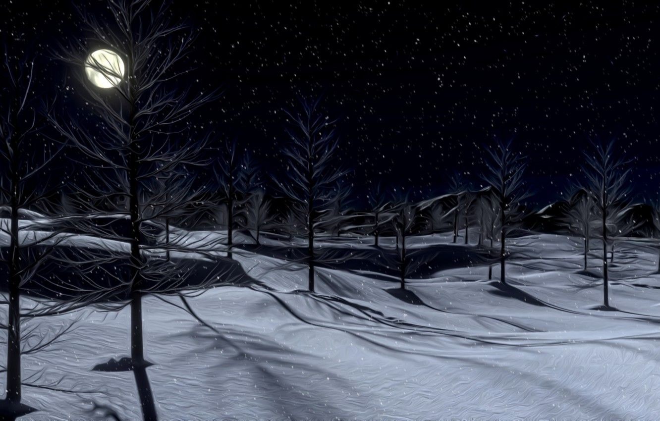 Notte invernale con luna piena, 1332x850 HD, Desktop