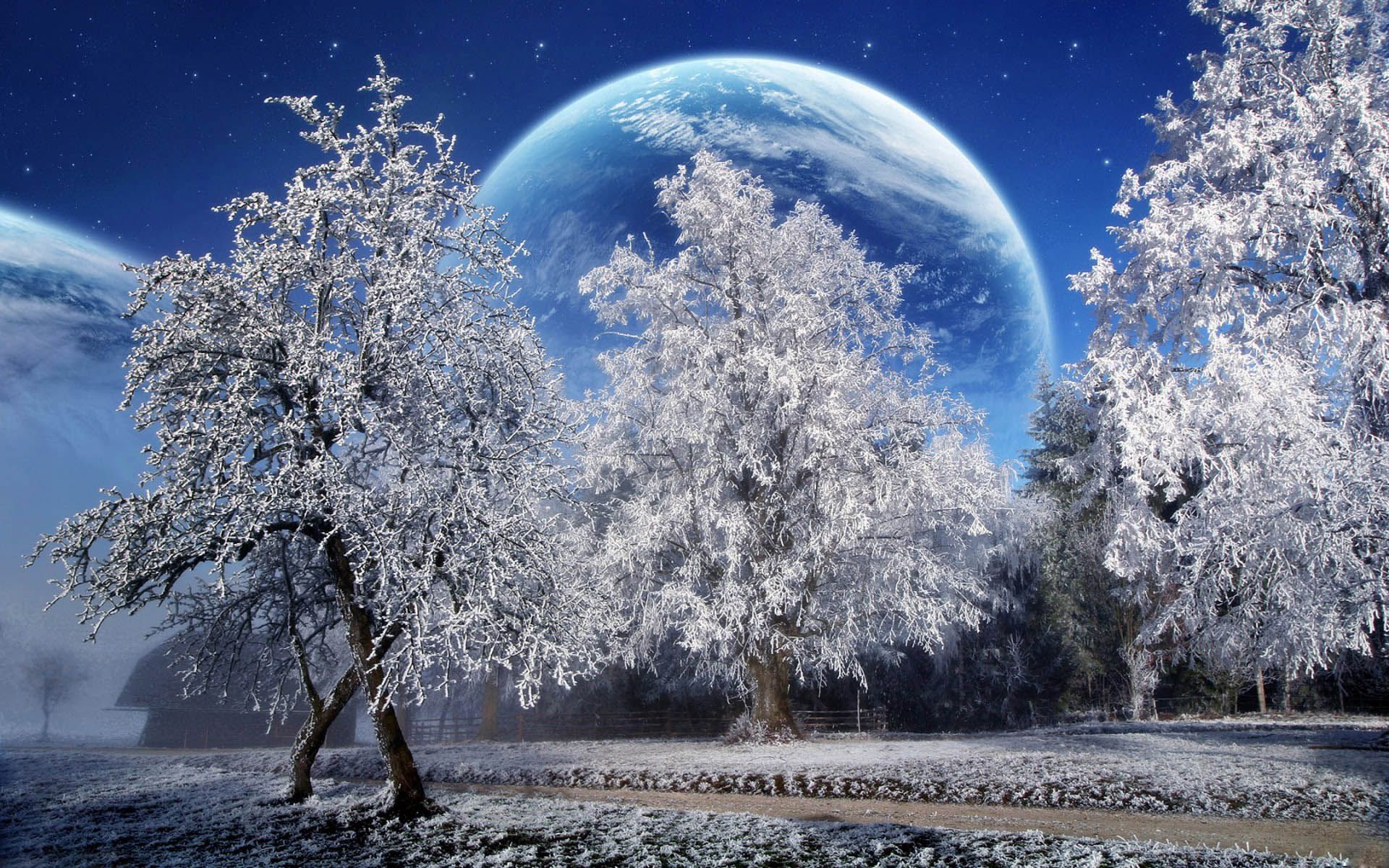 Alberi ghiacciati con luna gigante, 1920x1200 Full HD+ WUXGA, Desktop