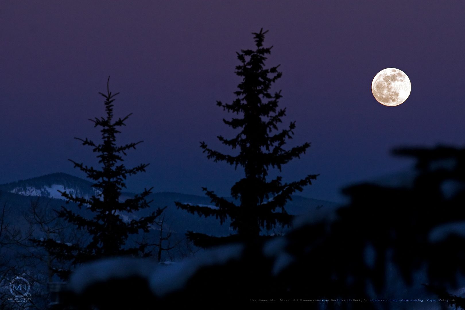Luna piena e abeti notturni, 1620x1080 900p, Desktop