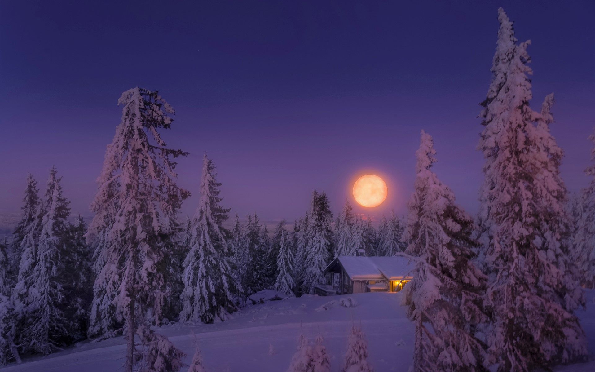 Luna piena notte invernale, 1920x1200 Full HD+, PC