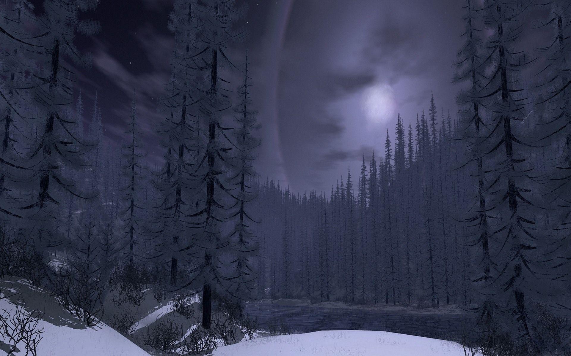 Foresta innevata notturna con luna, 1920x1200 Full HD+ WUXGA, Laptop