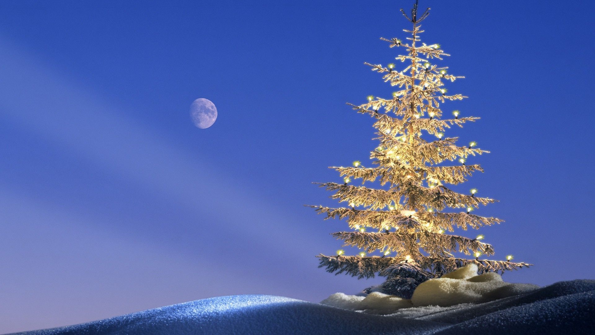 Albero di Natale illuminato, luna, neve, 1920x1080 Full HD 1080p, PC Desktop