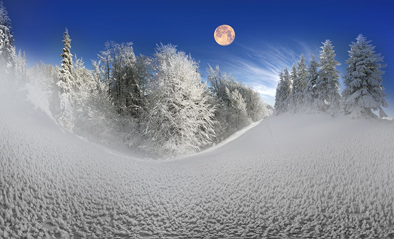 Abeti innevati con luna piena, 1280x777 HD, Desktop