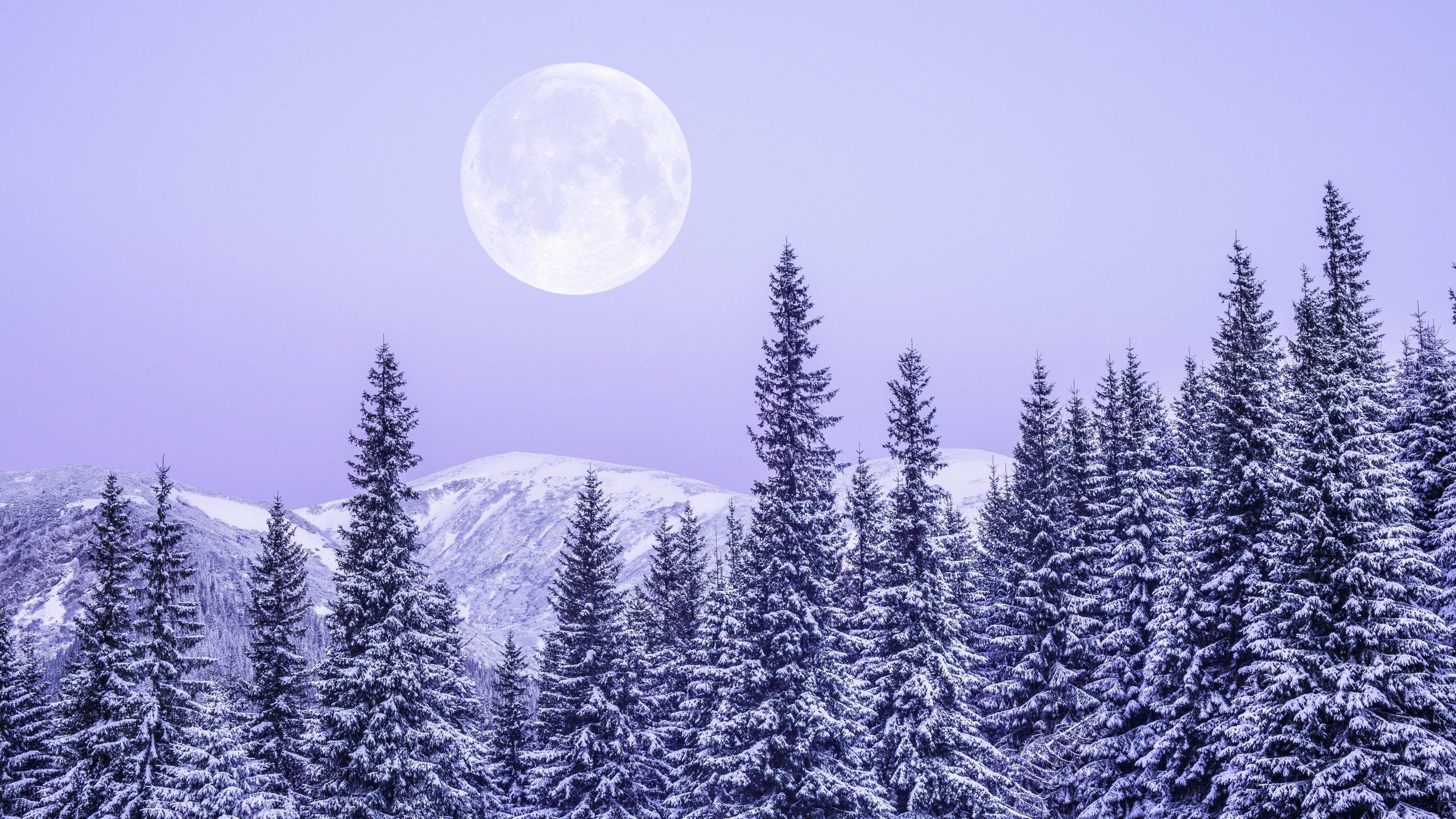 Luna piena su montagne innevate, 2560x1440 2K, Desktop