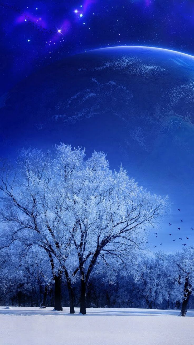 Paesaggio invernale notturno con luna, 736x1308 Verticale, Telefono