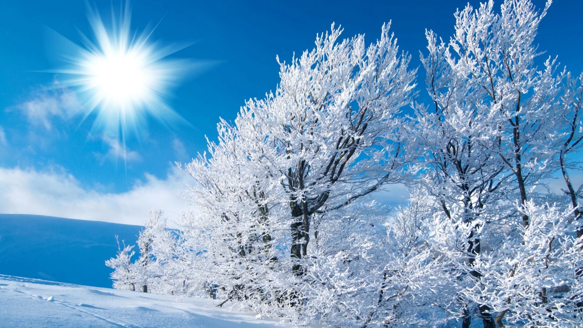 Alberi innevati con sole, 1920x1080 Full HD, PC Desktop