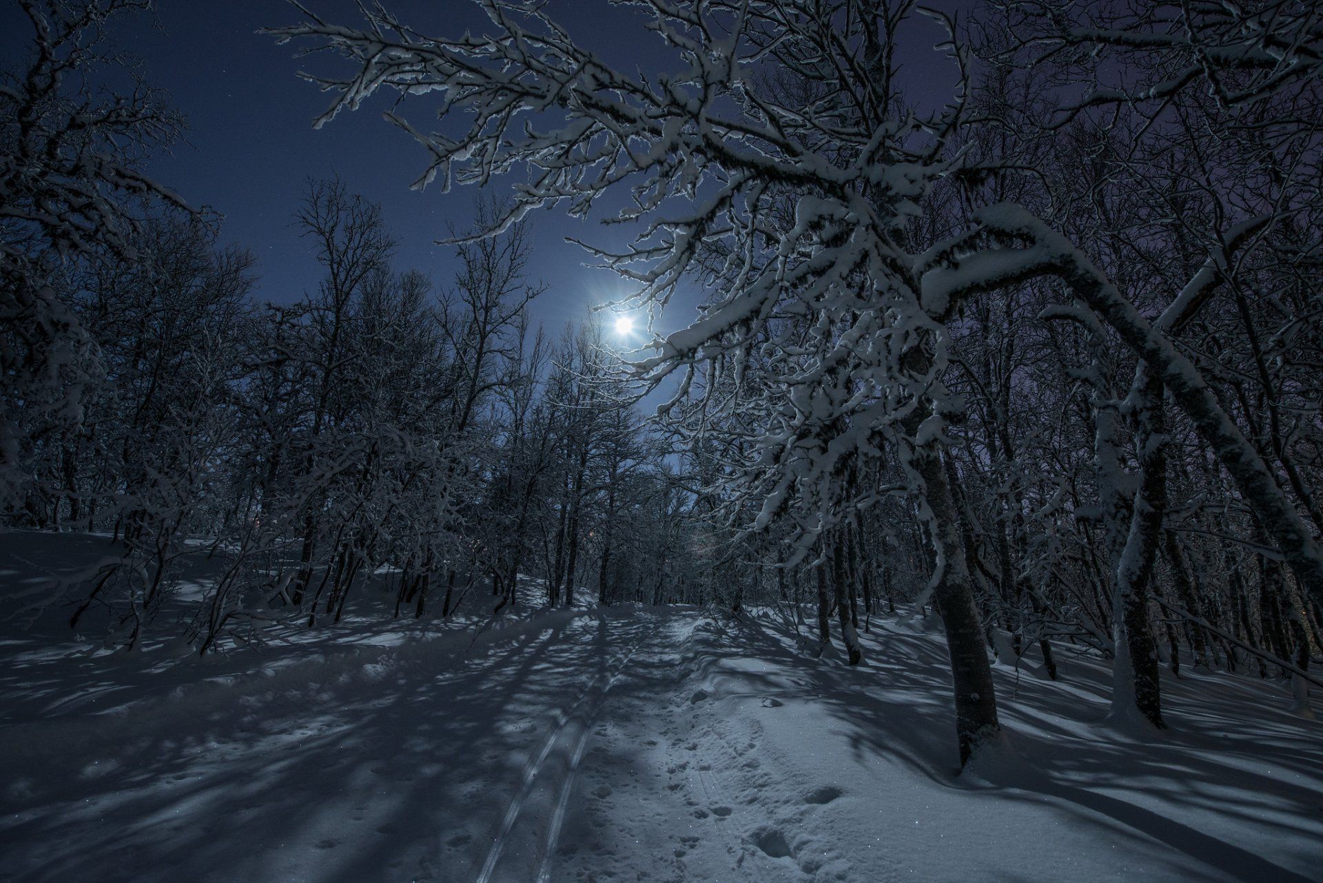 Foresta innevata di notte con luna, 1920x1282 WUXGA, Desktop