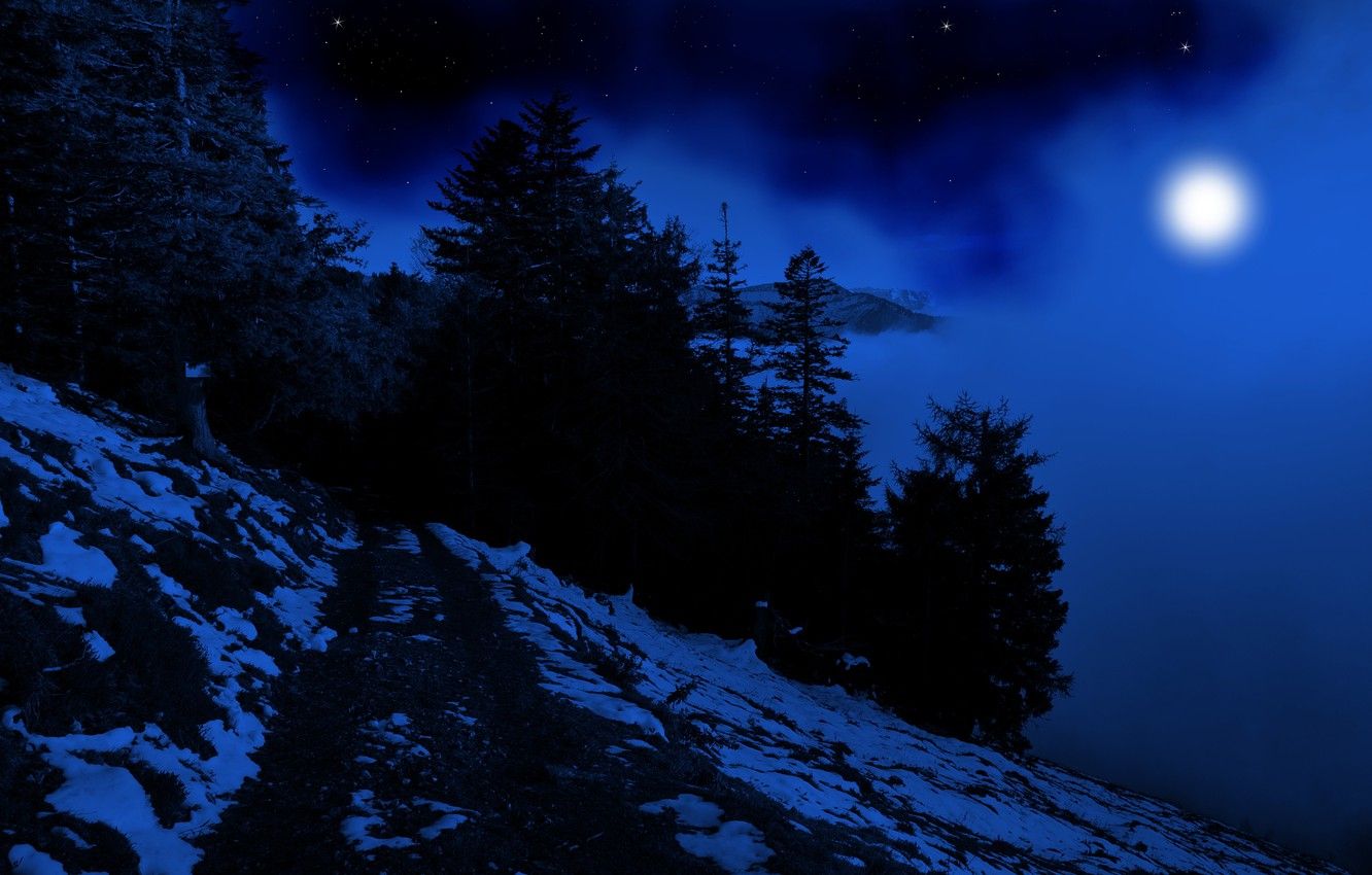 foresta innevata con luna notturna, 1332x850 HD, Desktop