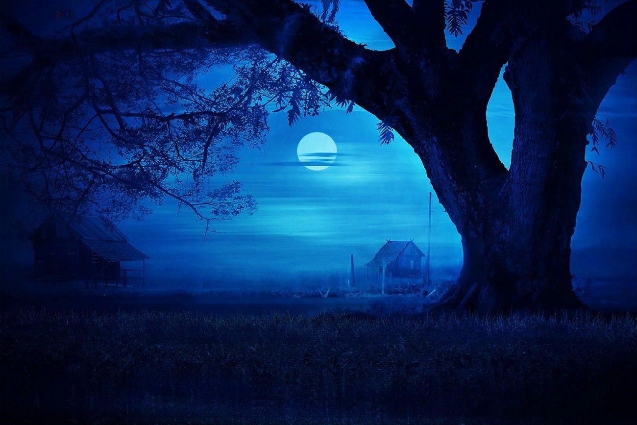 Luna blu notturna nebbia, 1300x867 720p, PC