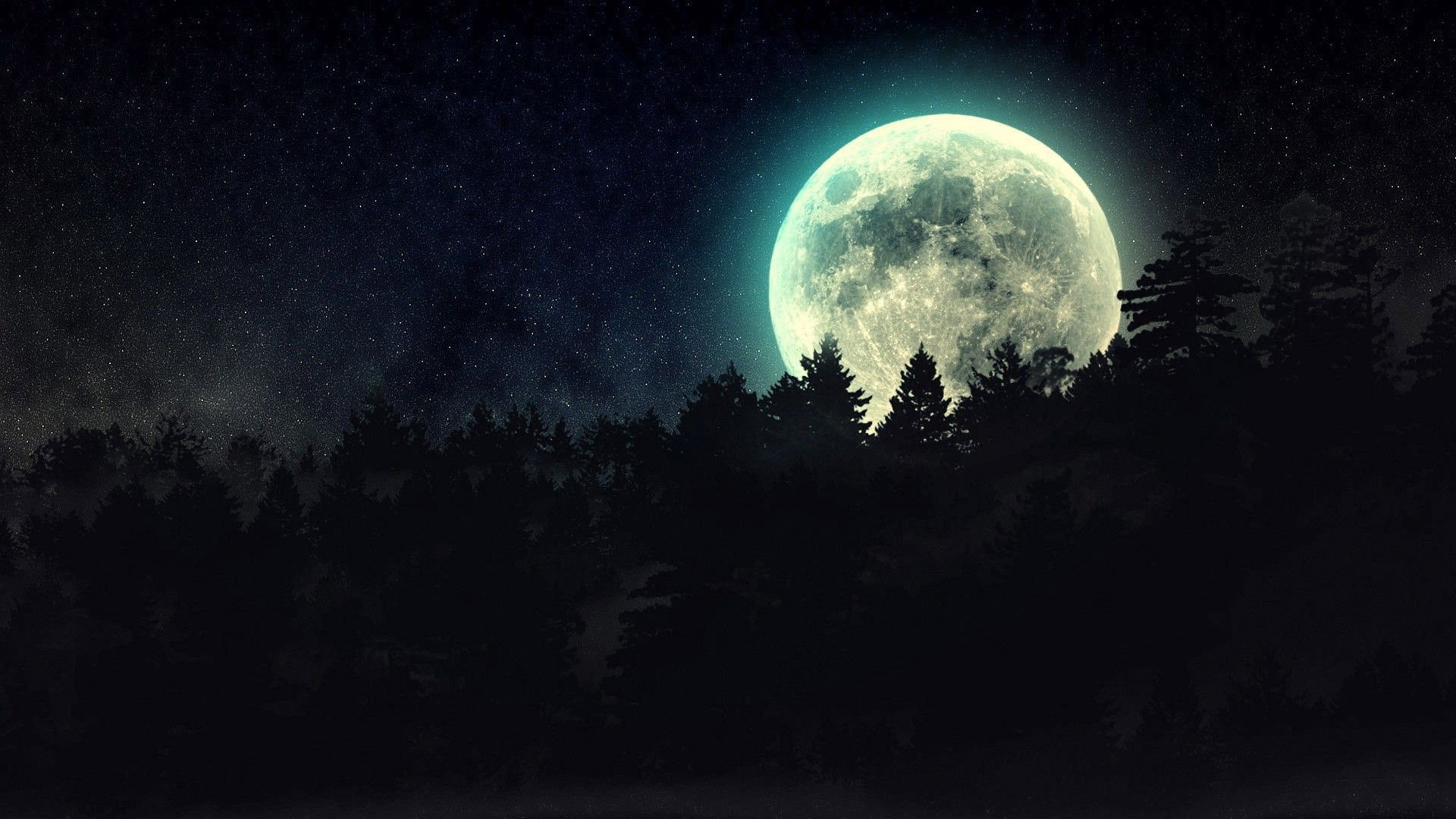 Luna piena sopra alberi notte, 1920x1080 Full HD 1080p, Desktop