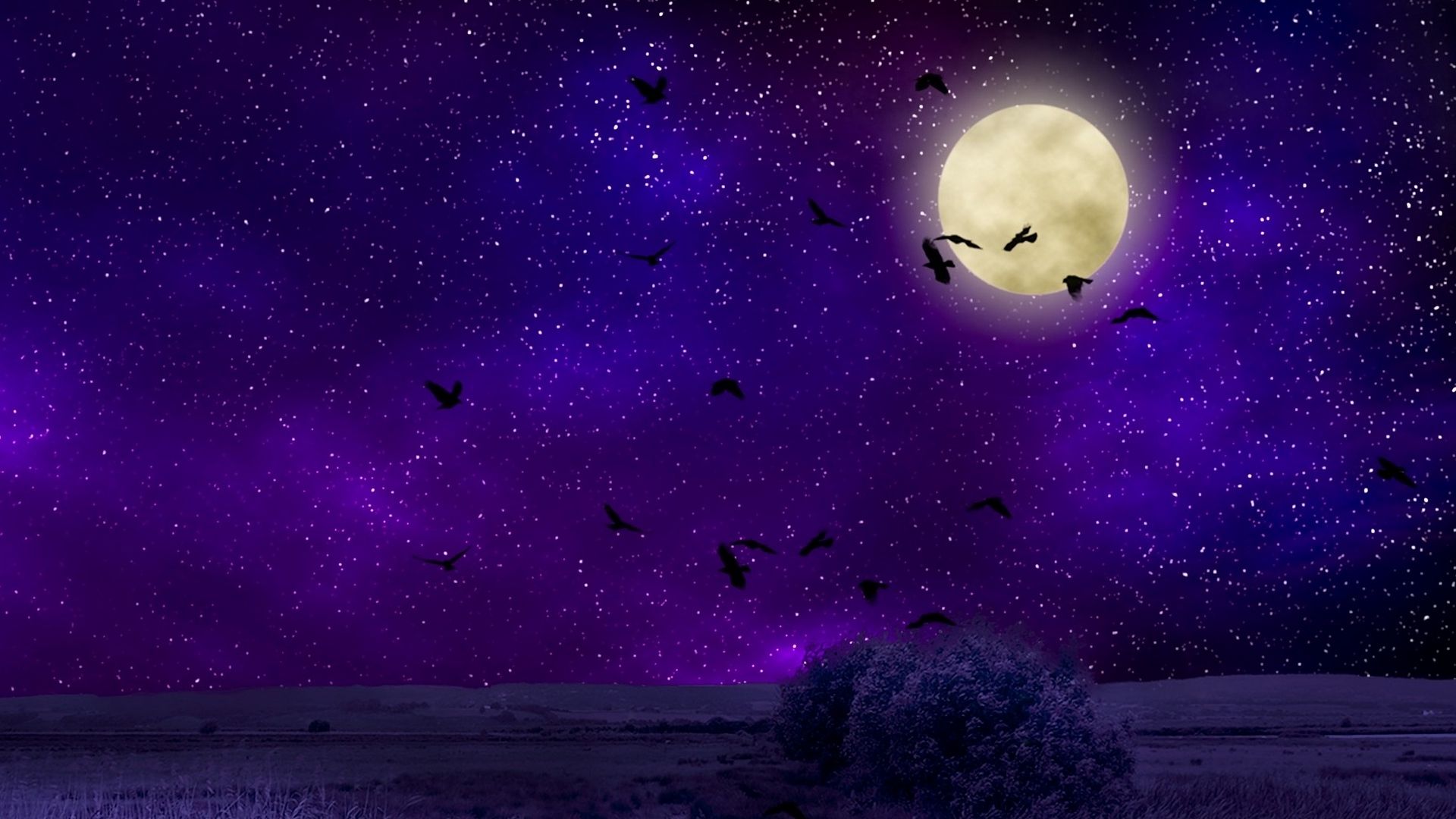 Luna piena cielo viola uccelli, 1920x1080 Full HD 1080p, Desktop