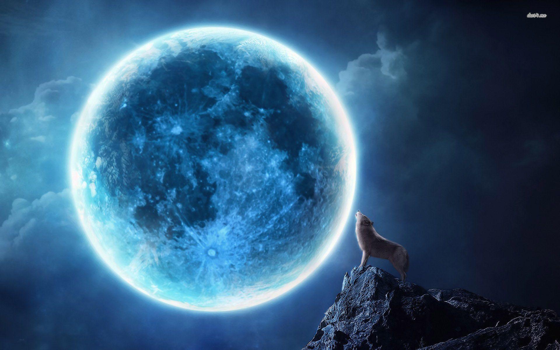 Lupo che ulula luna blu, 1920x1200 WUXGA, Desktop