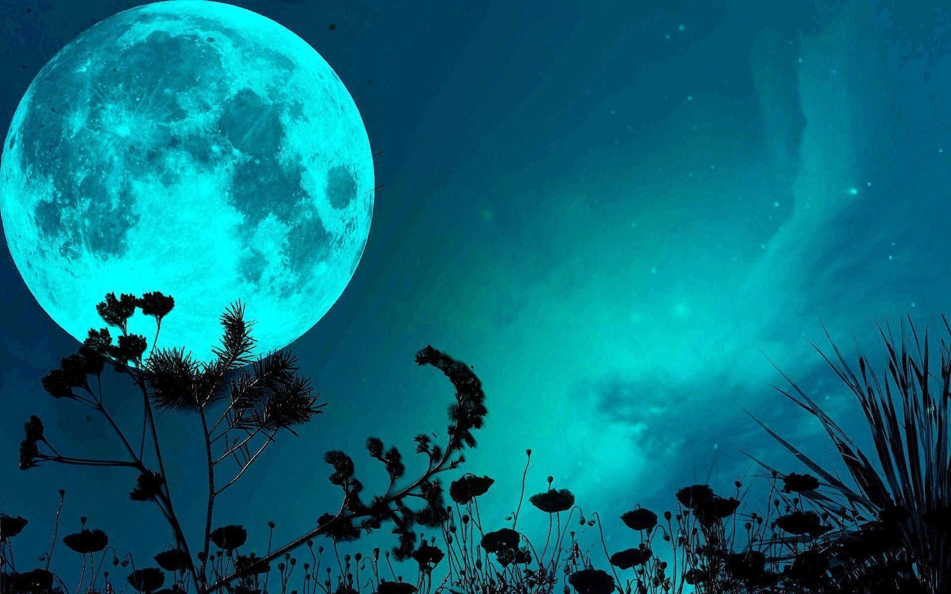 Luna blu con silhouette piante, 1920x1200 Full HD+, Laptop