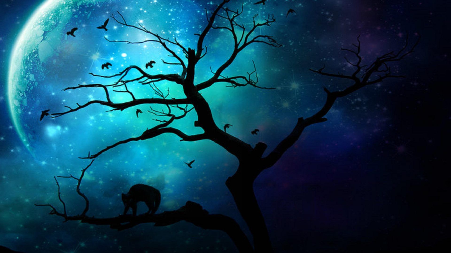 Luna blu con albero silhouette, 1920x1080 Full HD 1080p, Desktop