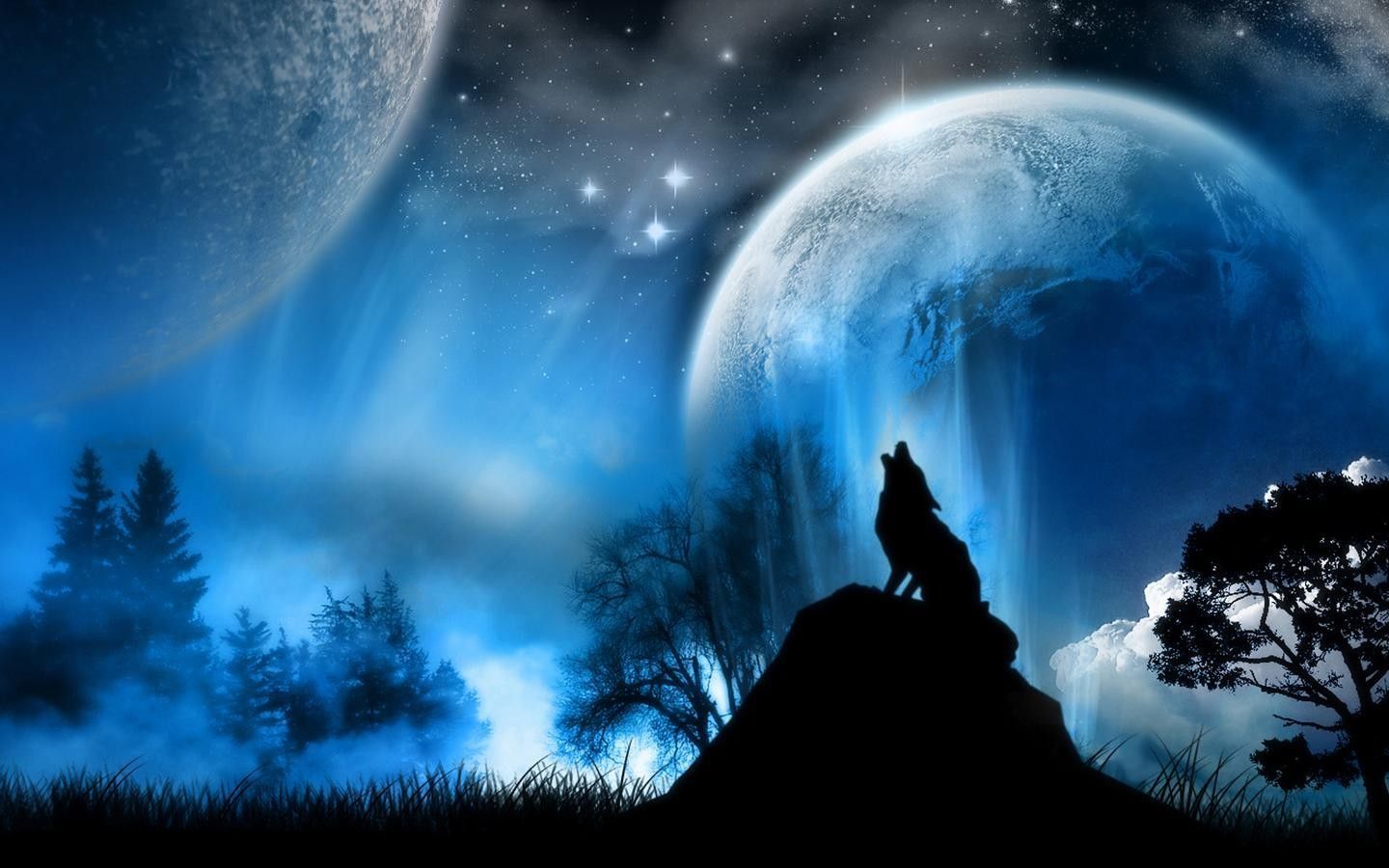 Lupo che ulula sotto luna blu, 1440x900 HD, Desktop