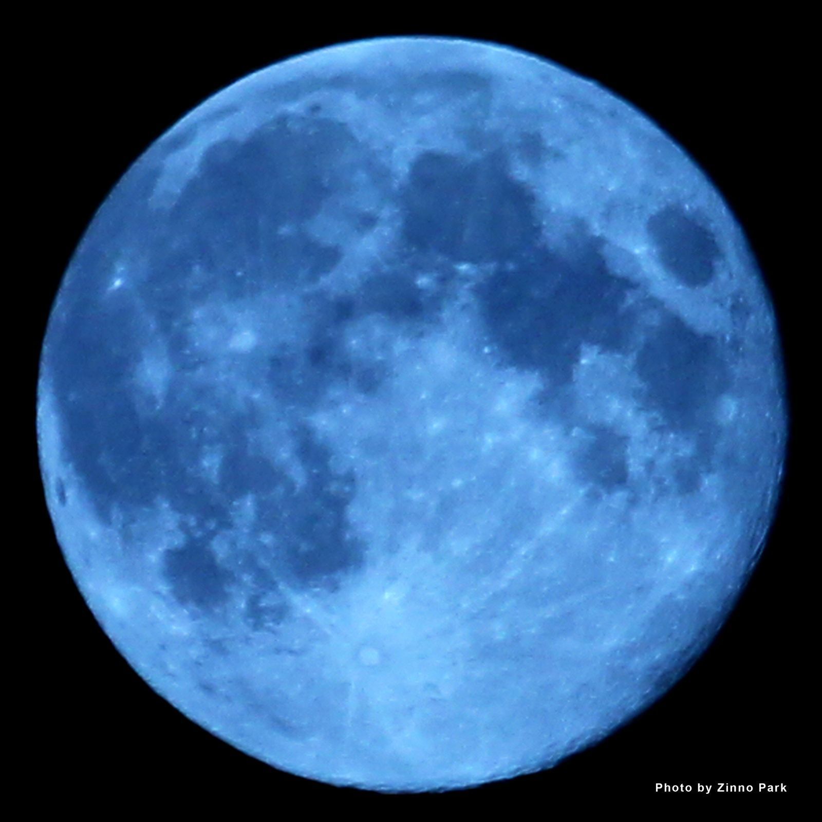 Luna blu su cielo nero, 1600x1600 HD Ready, Laptop