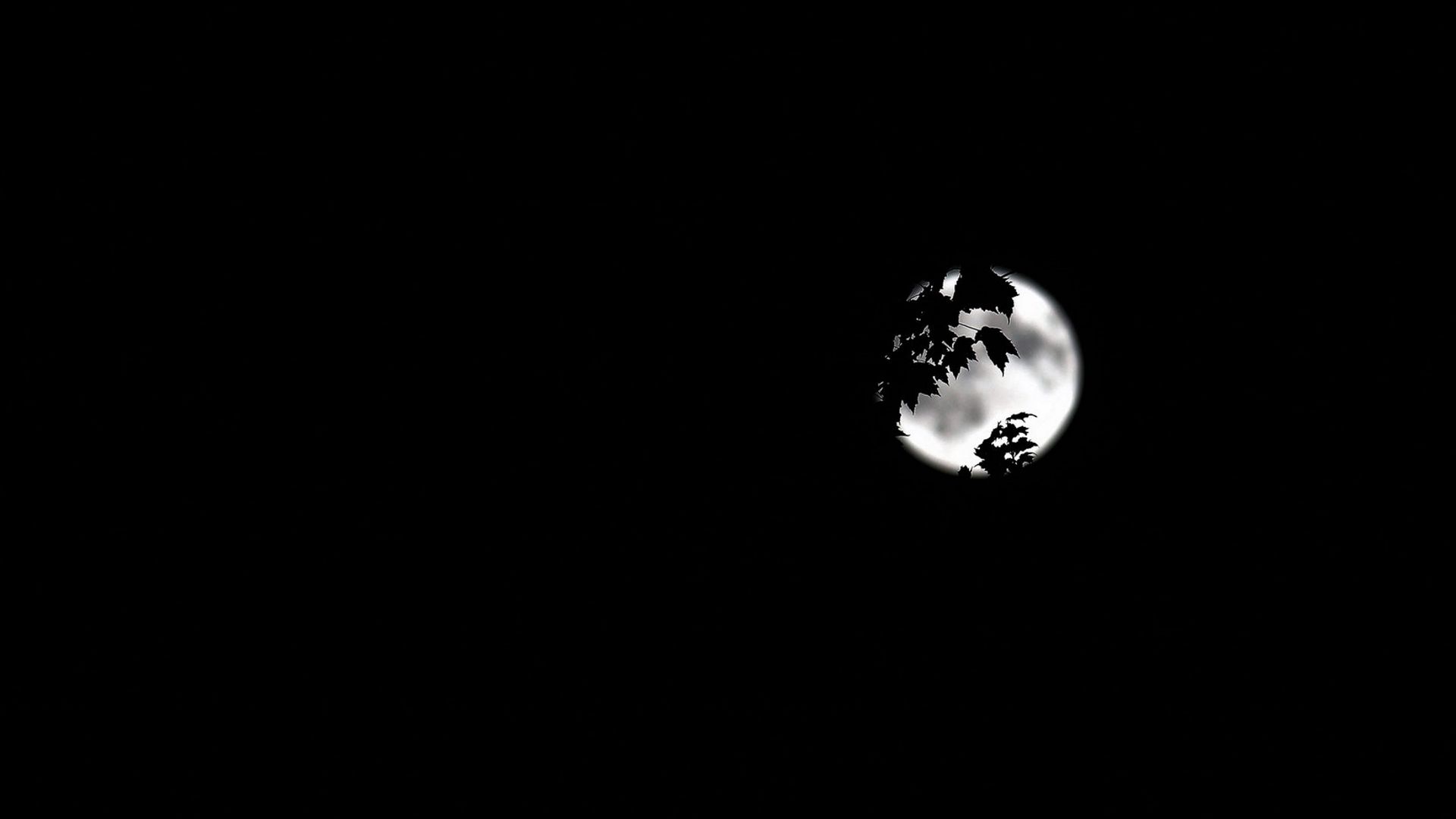 Luna piena su cielo nero, 1920x1080 1080p, PC