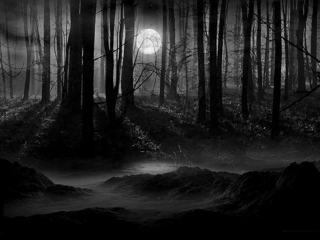 Luna piena foresta scura, 1024x768 HD, Laptop