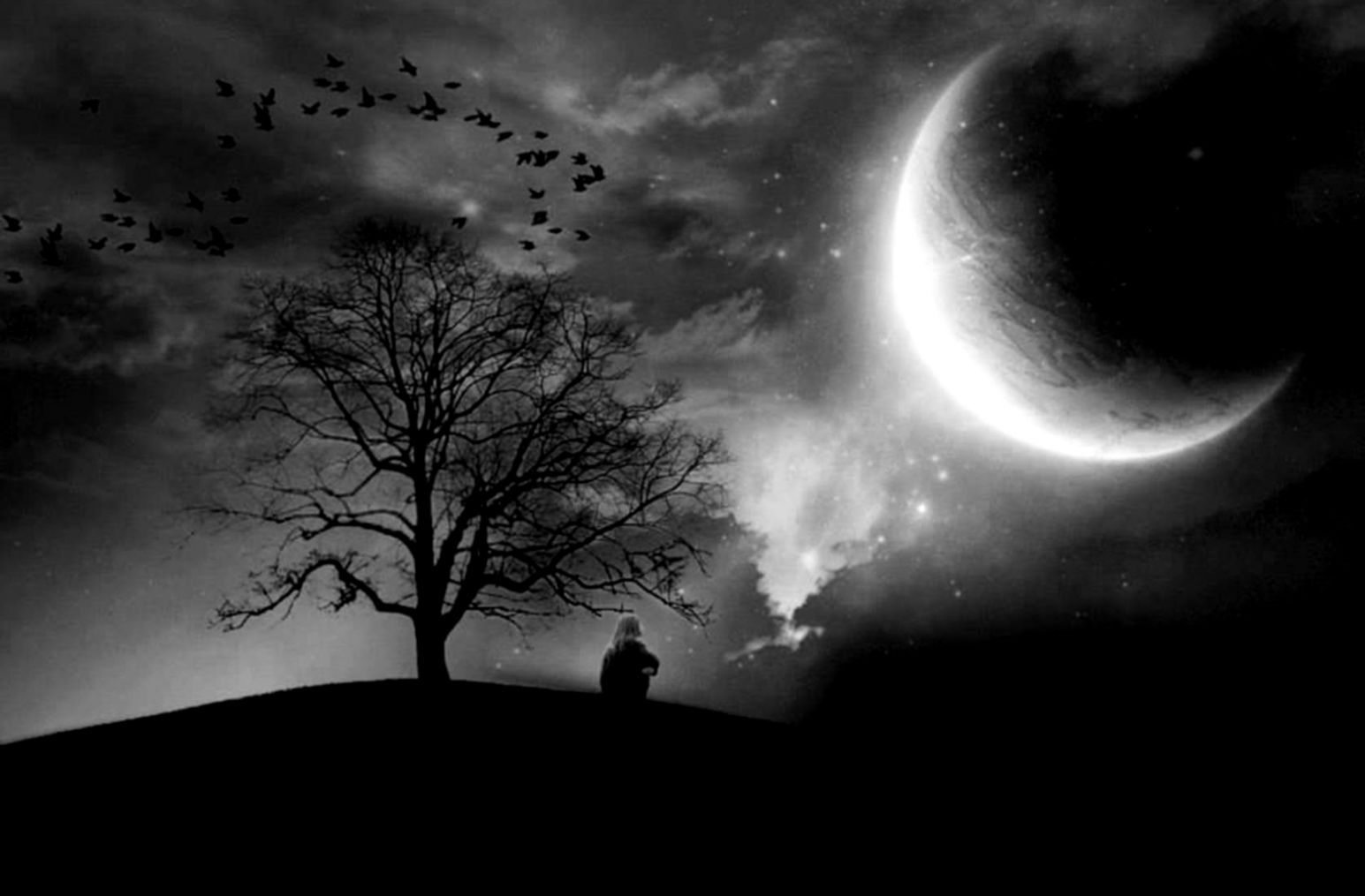 Luna crescente, albero, figura solitaria, 1545x1015 HD, Desktop