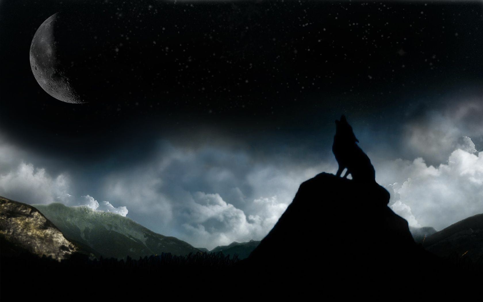 Lupo che ulula sotto luna nera, 1680x1050 HD, PC