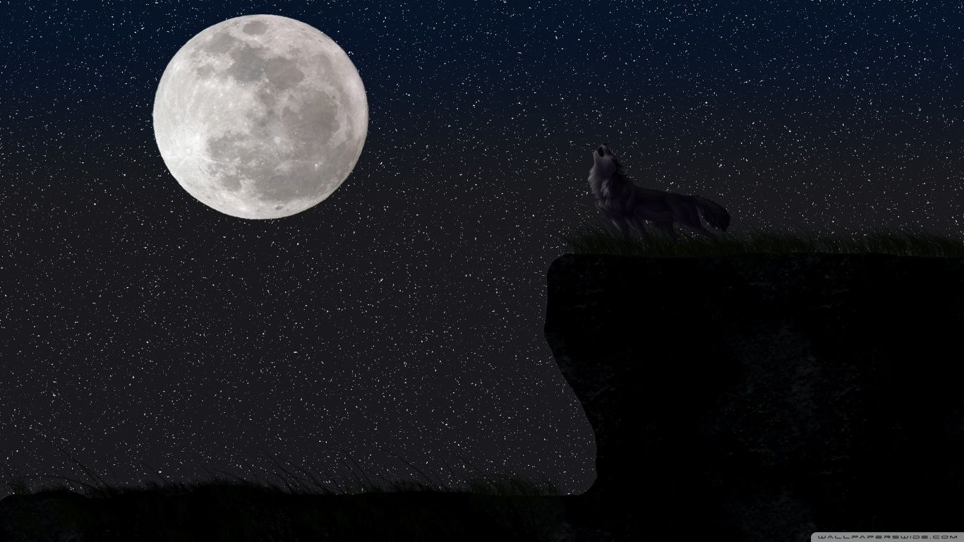 Lupo che ulula alla luna, 1366x768 720p, PC