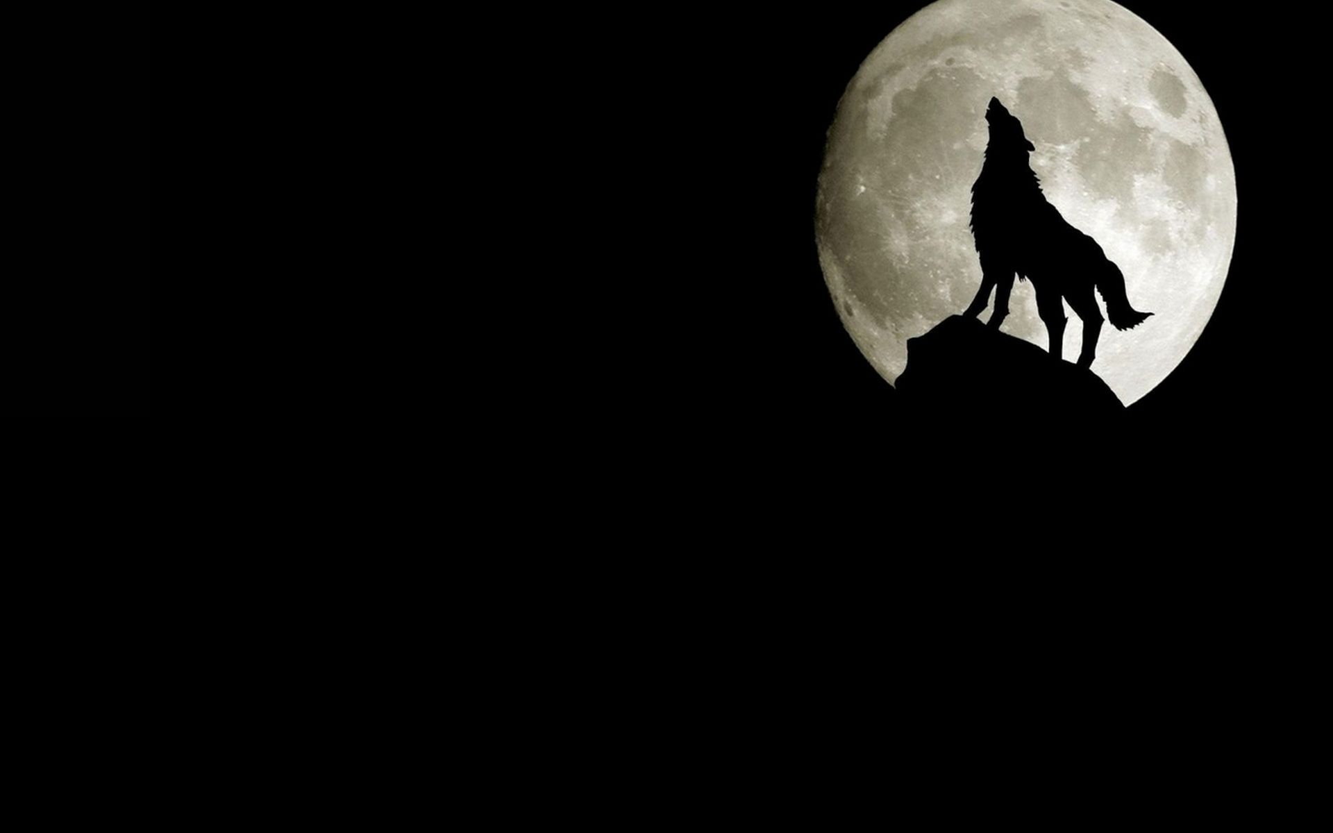 Lupo che ulula alla luna, 1920x1200 Full HD+, Monitor Gaming
