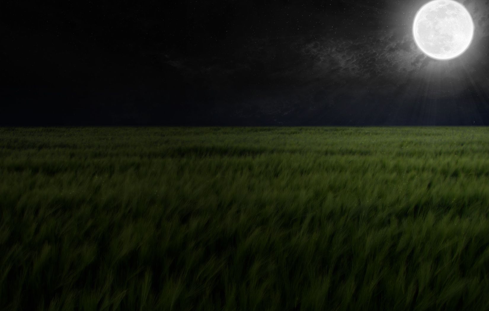 Luna piena su campo notturno, 1650x1050 900p, Desktop
