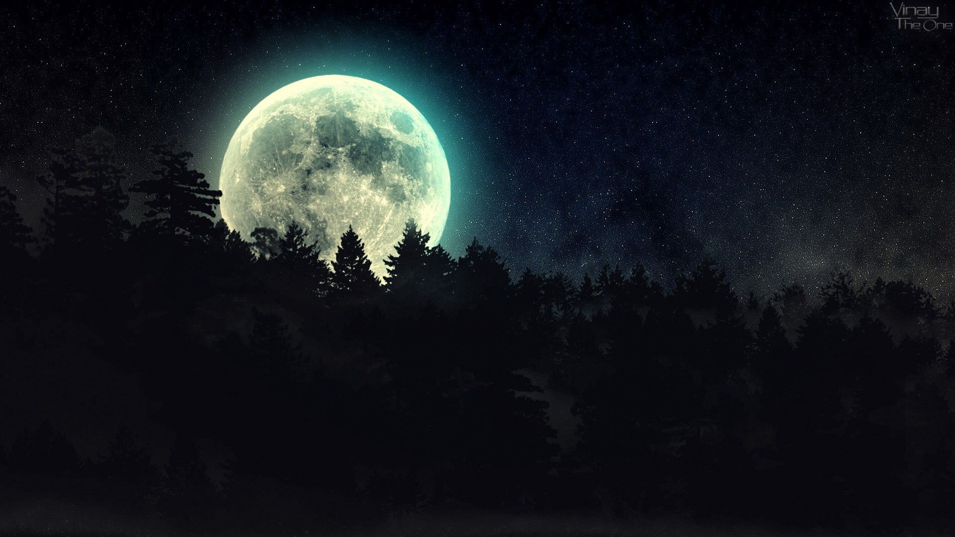 Luna piena sopra foresta notturna, 1920x1080 Full HD 1080p, PC Desktop