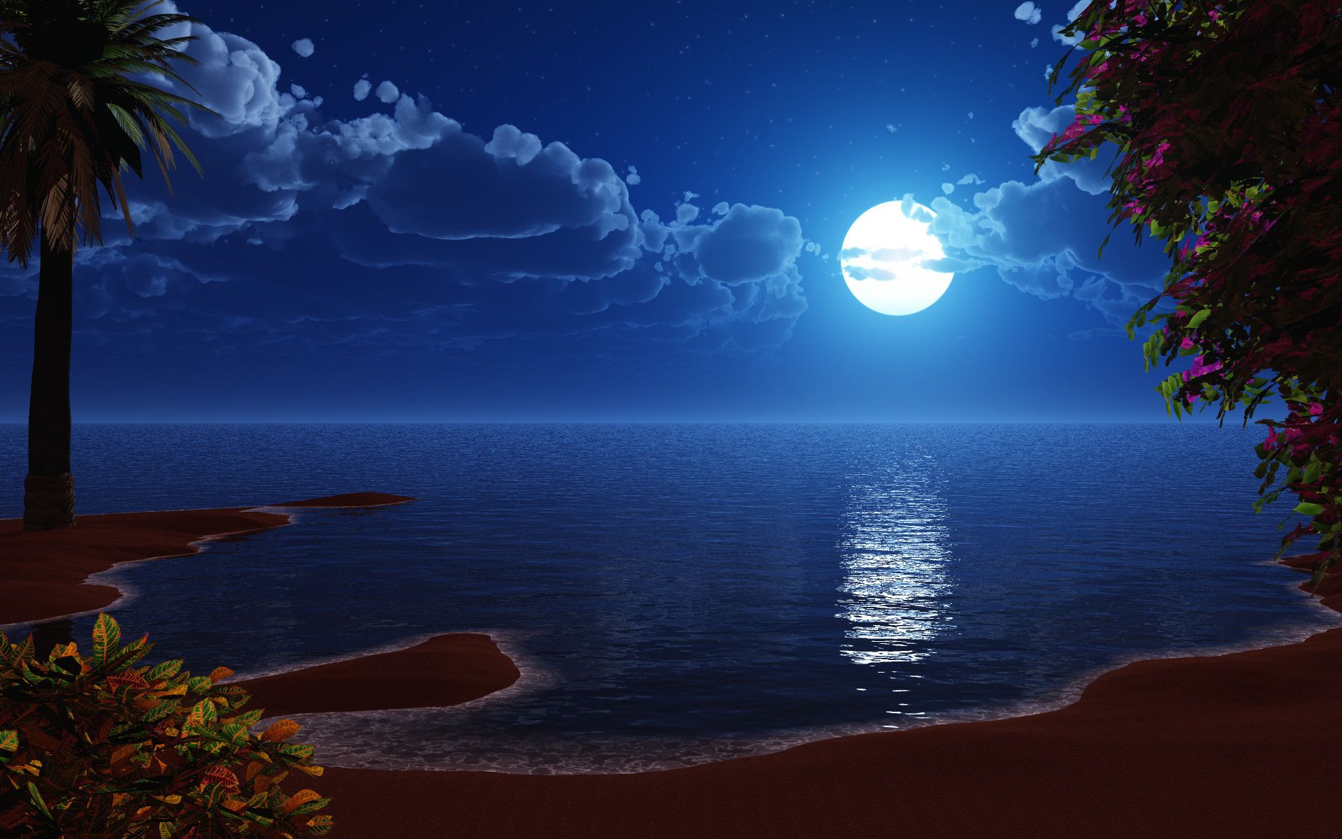 Luna piena su spiaggia notturna, 1920x1200 Full HD+, Desktop
