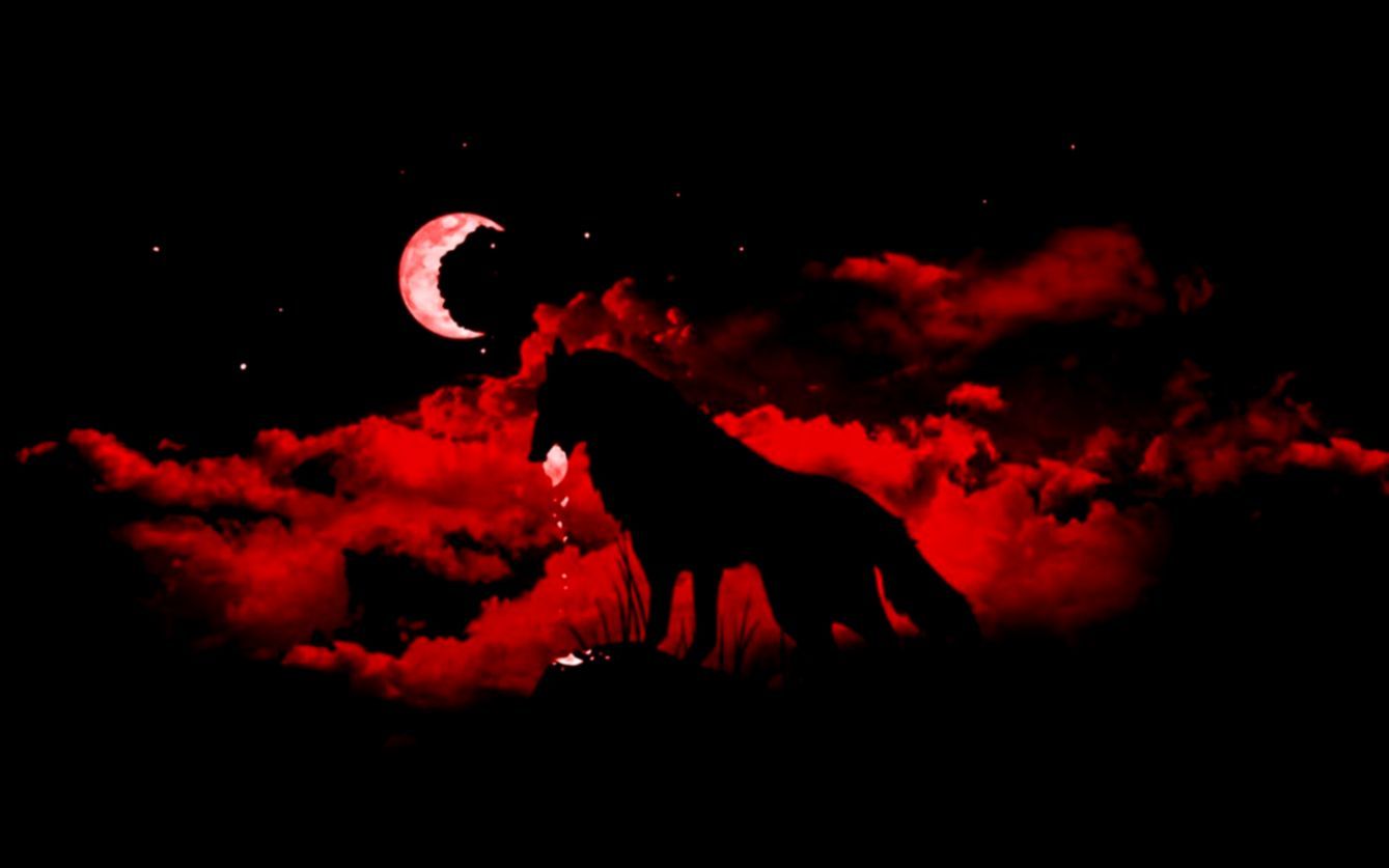 Lupo silhouette luna rossa, 1339x837 HD, Desktop