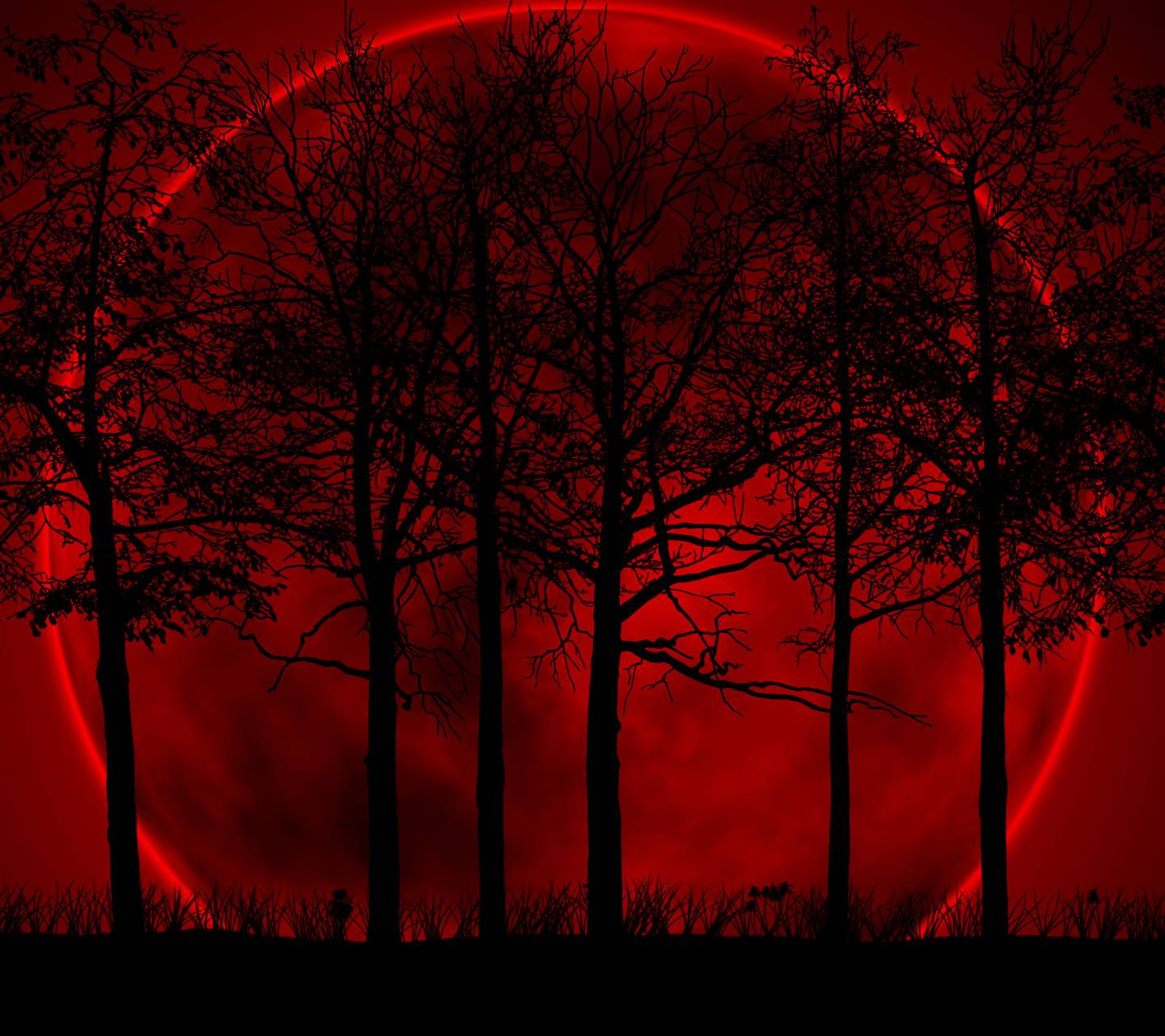 Luna rossa sangue con alberi, 1440x1280 HD, Desktop