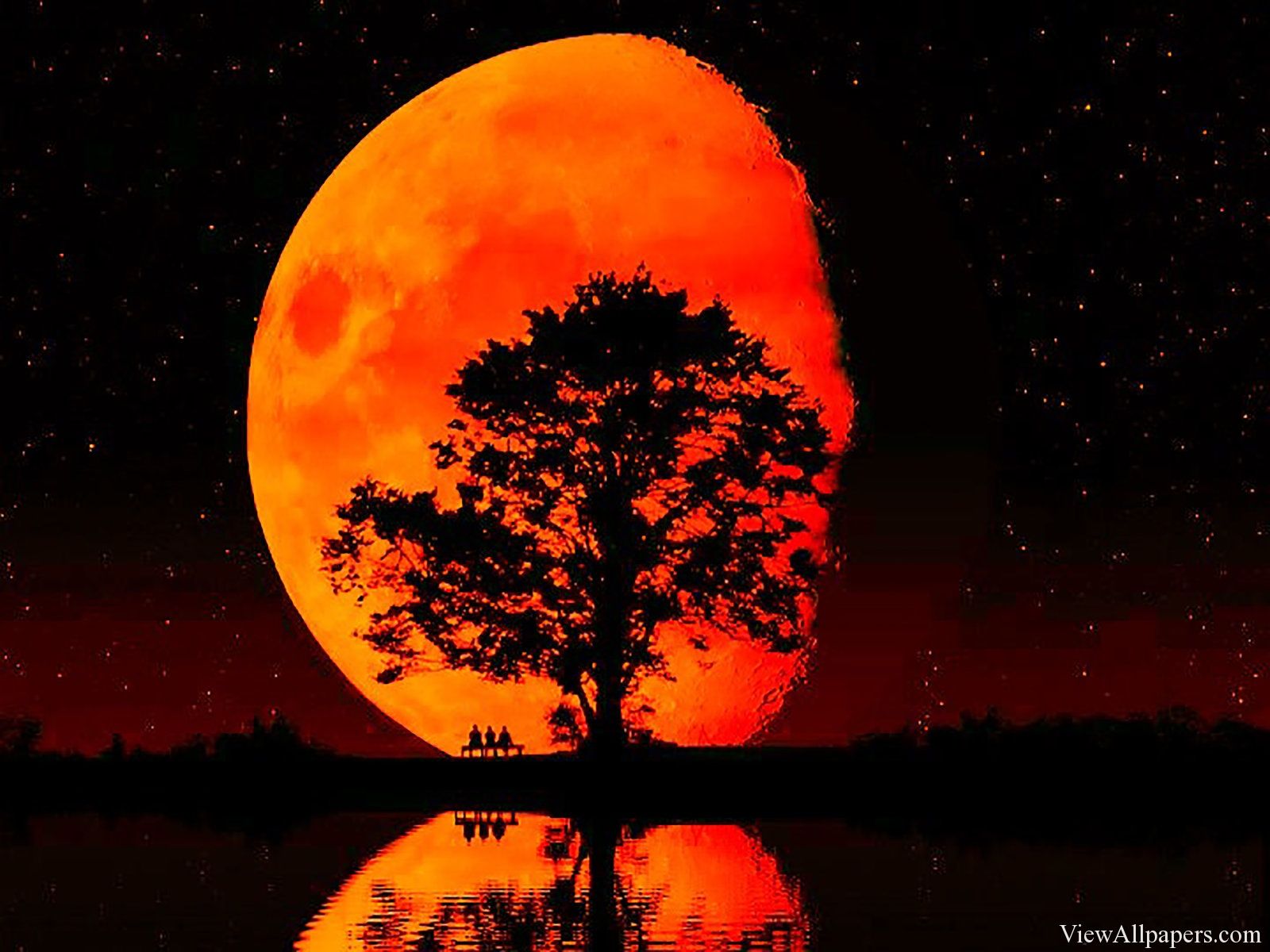 Luna rossa gigante con albero, 1600x1200 900p, Desktop