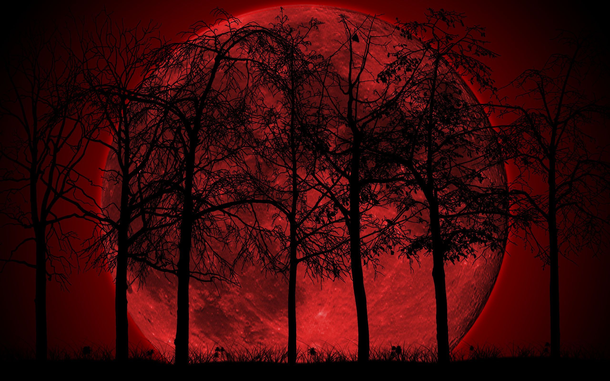 Luna rossa scura con alberi, 2560x1600 WQXGA, PC