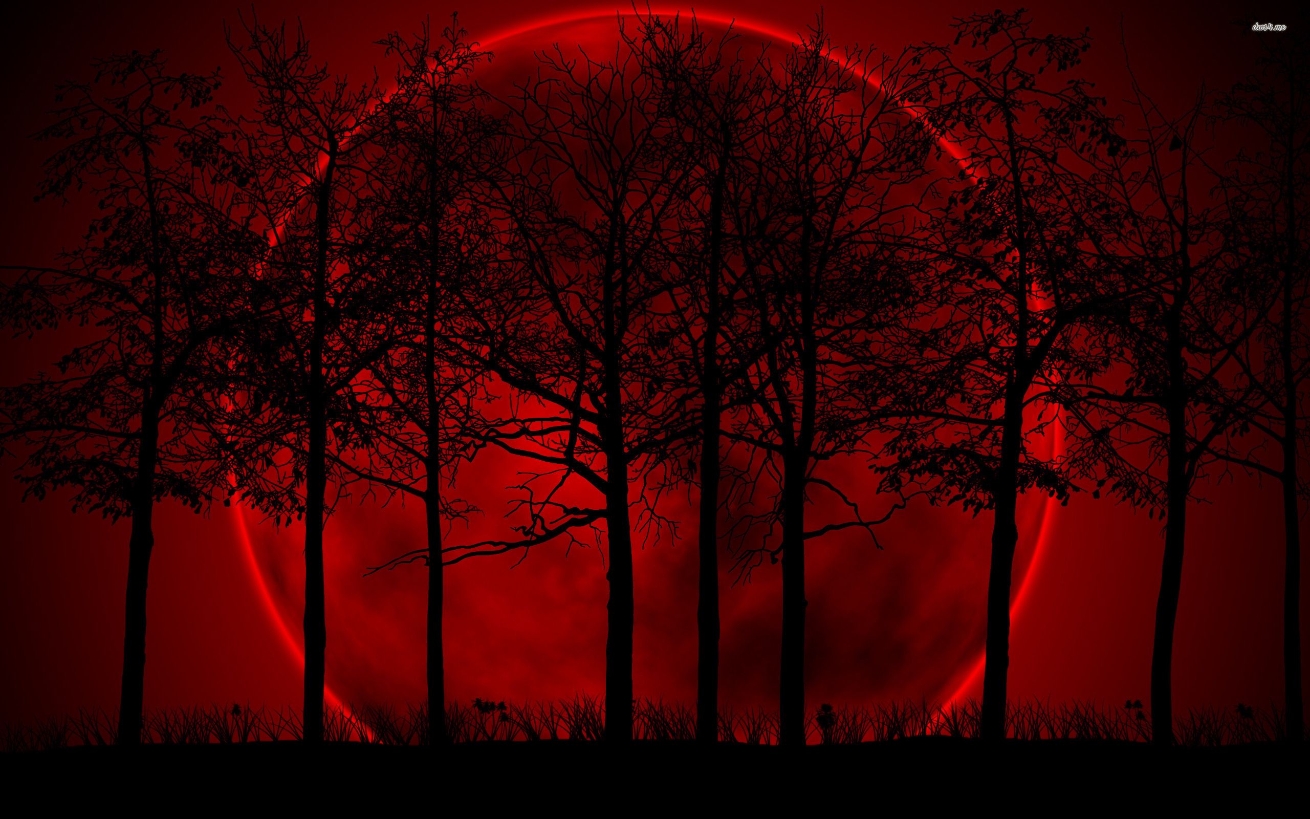 Luna rossa scura sfondo nero, 2560x1600 2K, Desktop