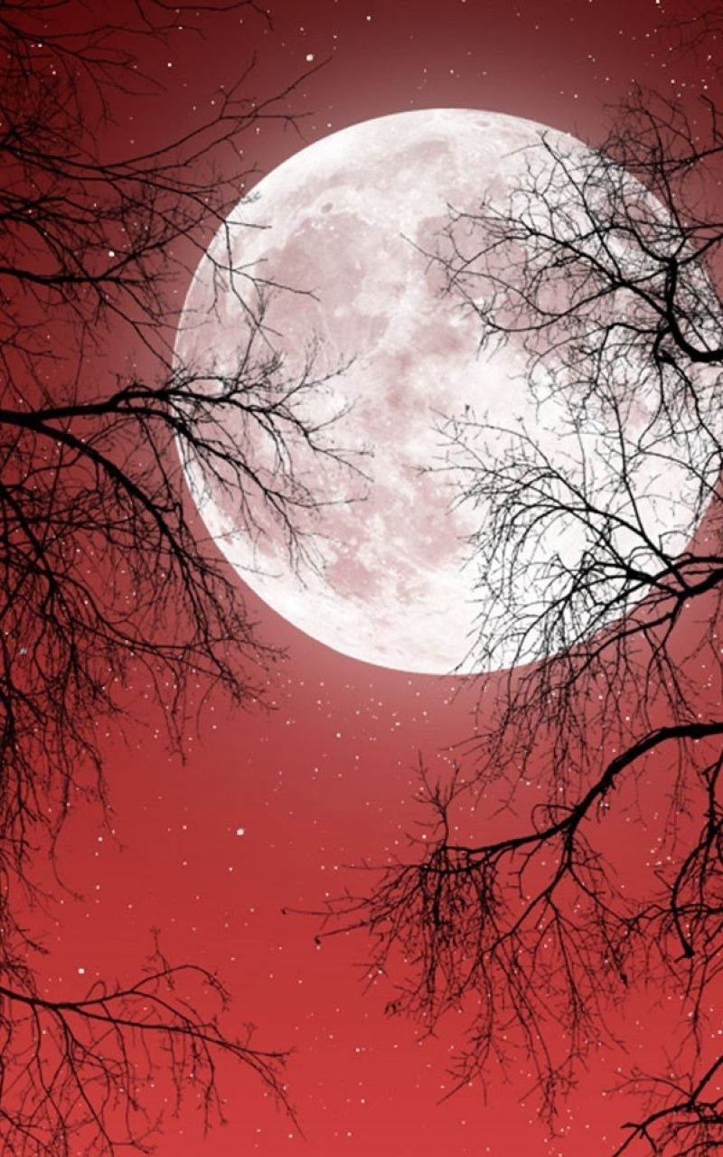 Luna piena cielo rosso alberi, 800x1280 Verticale, Telefono