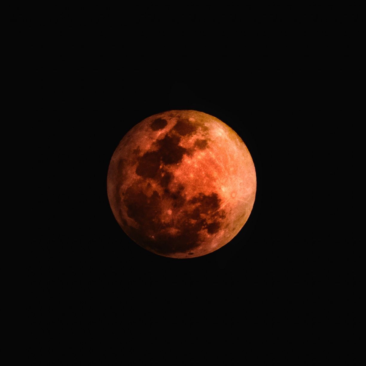 Luna rossa sangue notturna, 1224x1224 HD, Laptop