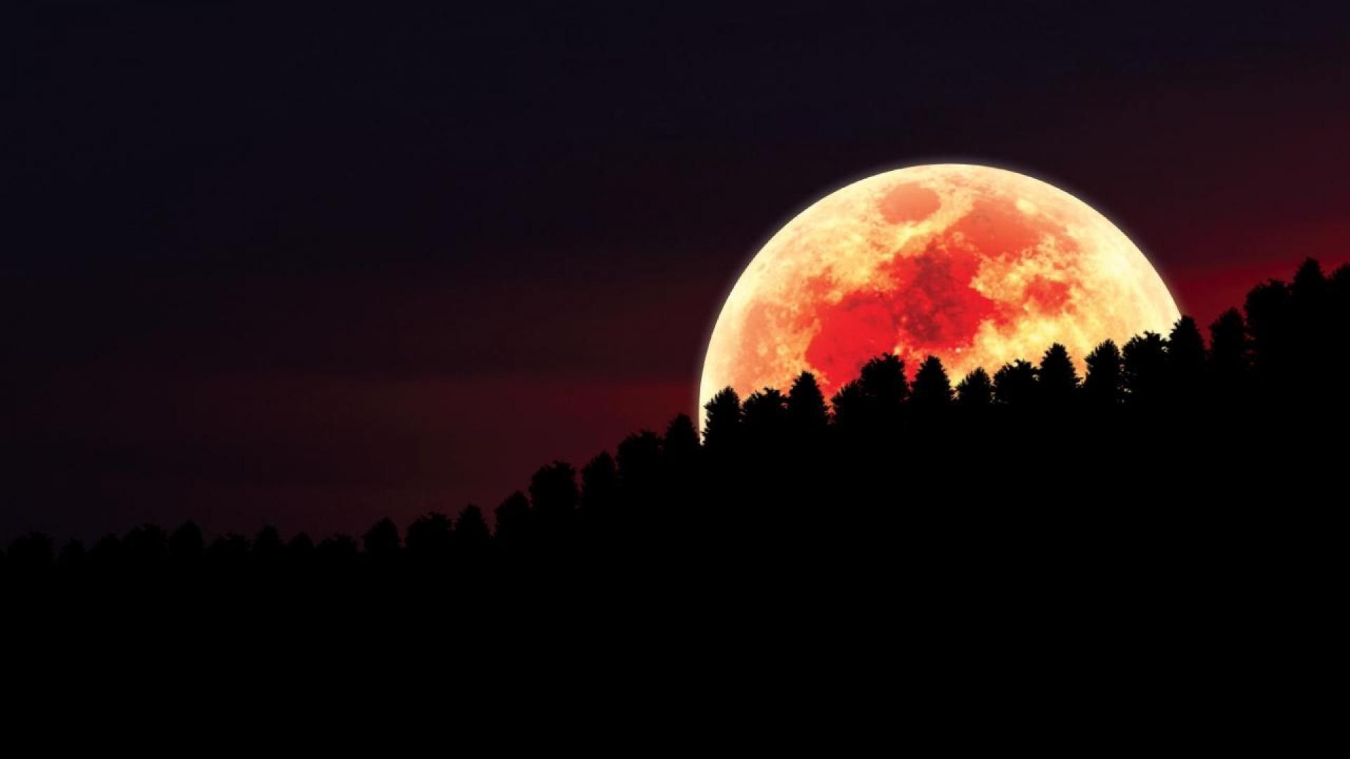 Luna rossa foresta silhouette, 1920x1080 Full HD, Laptop